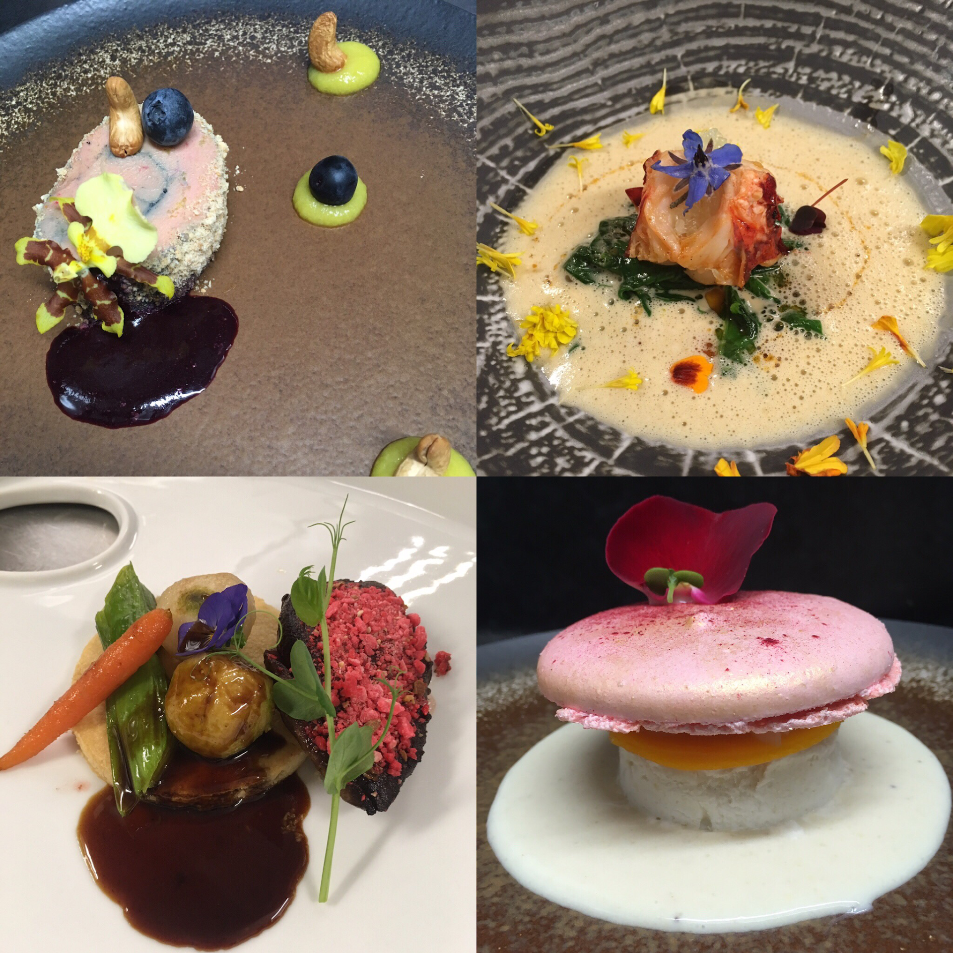 Photo Cuisine et Passion