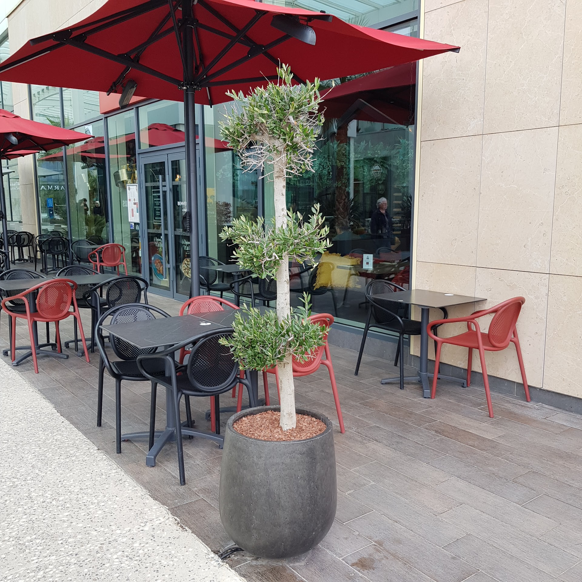 Photo Signorizza Les Sables d'Olonne