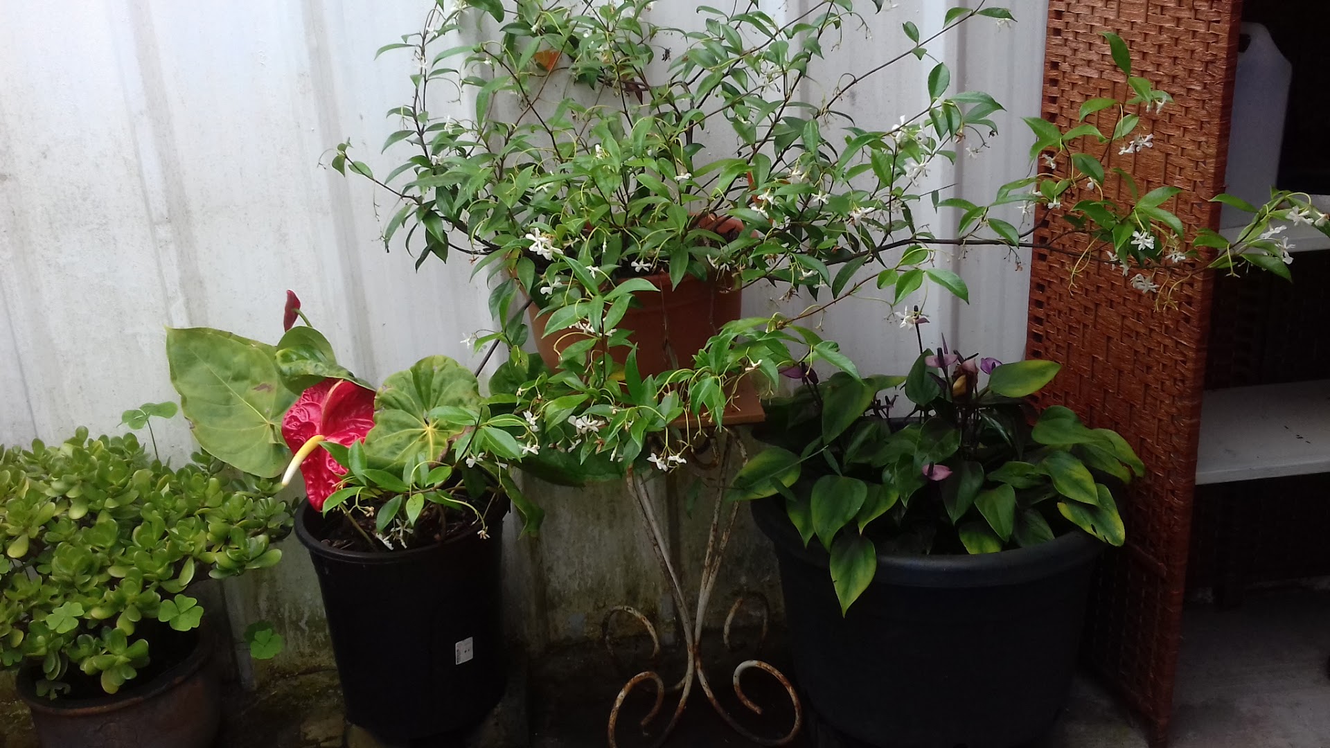 Photo Relais du Maido