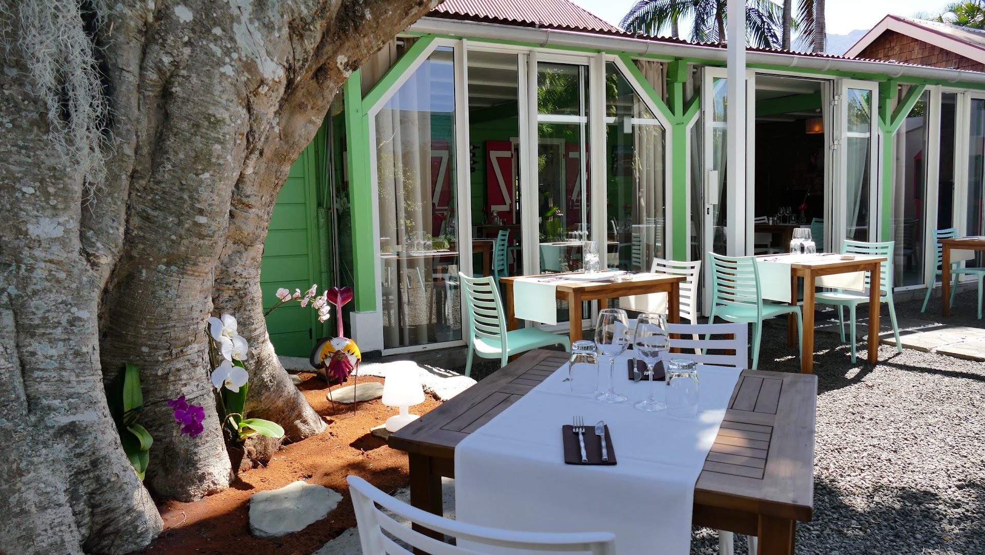 Photo L'Arbre à Palabres