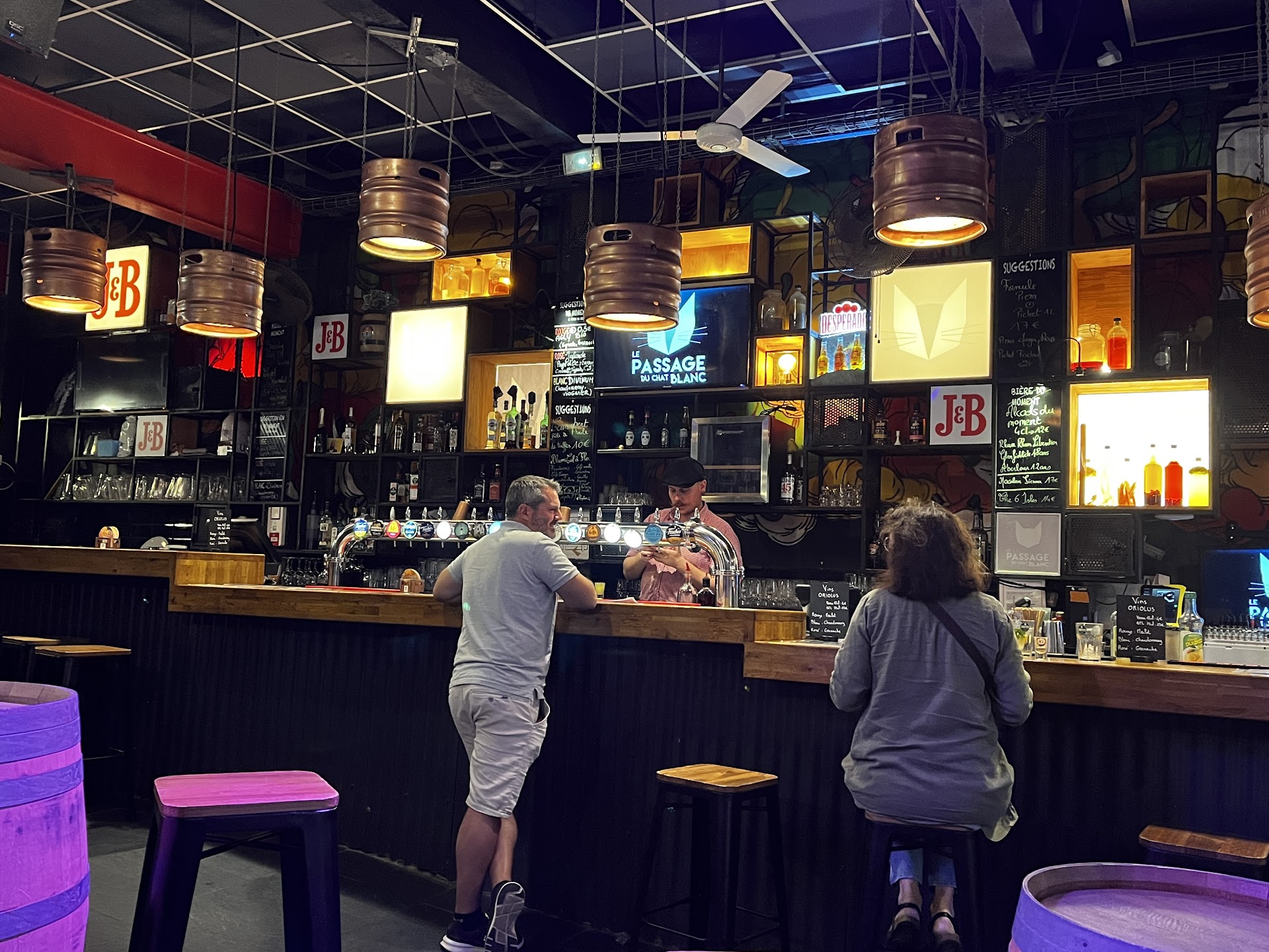 Photo Le passage du chat blanc