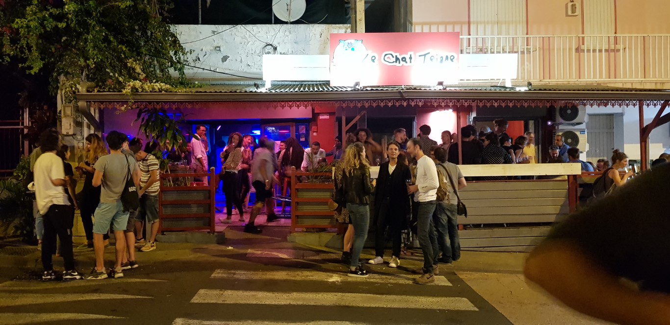 Photo Le Chat Teigne