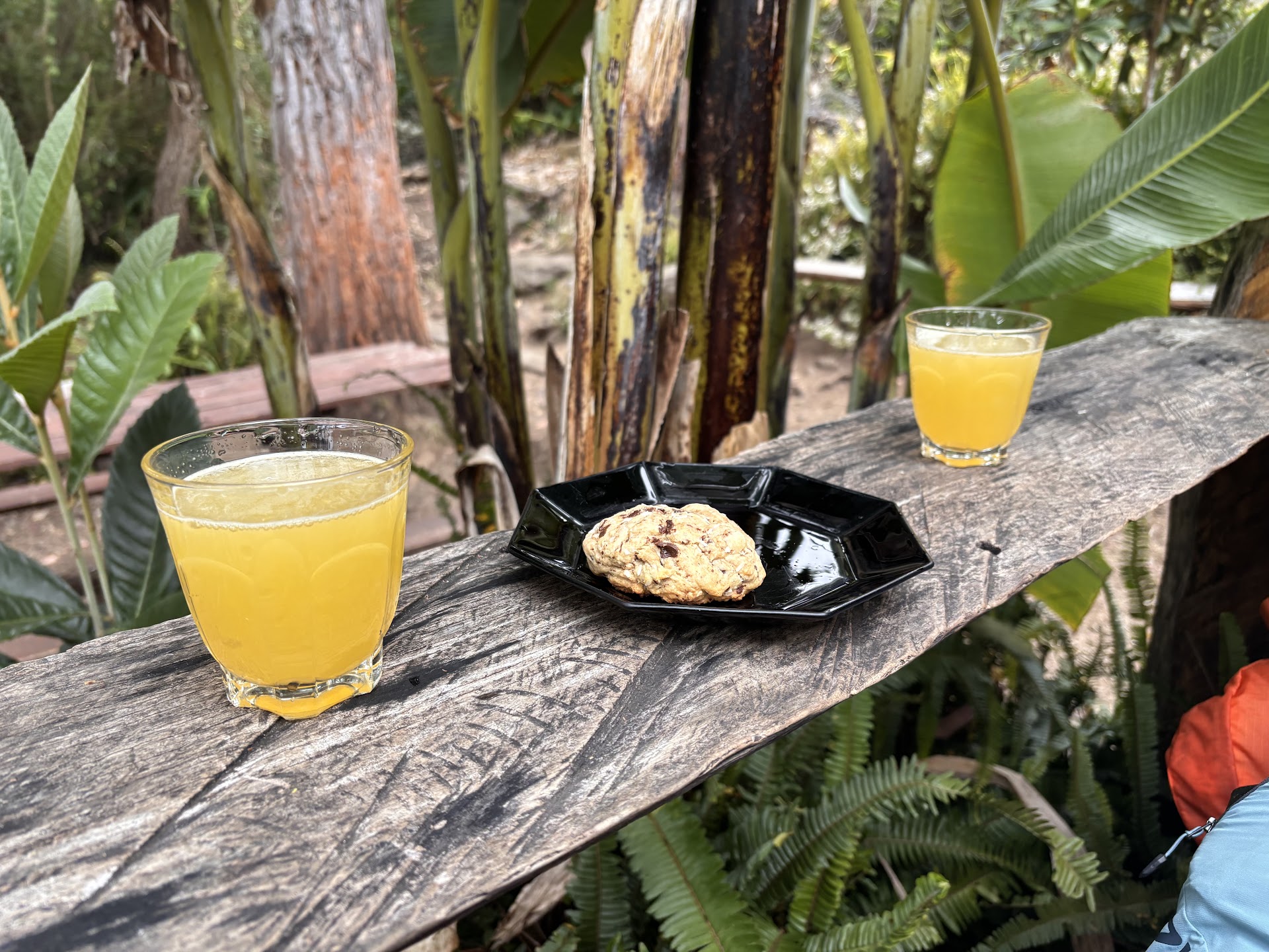 Photo Tisanerie des 3 Salazes