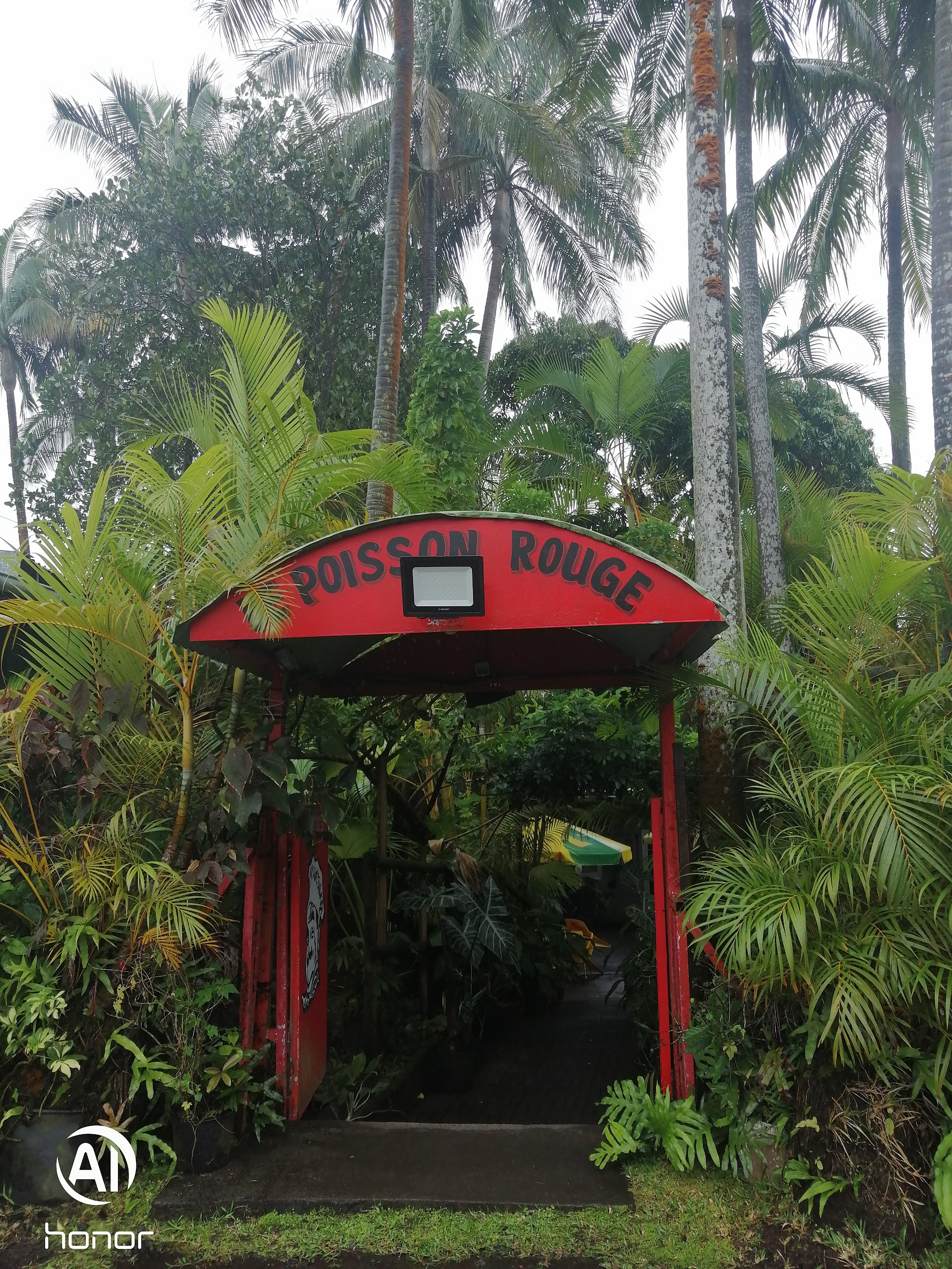 Photo Le Poisson Rouge