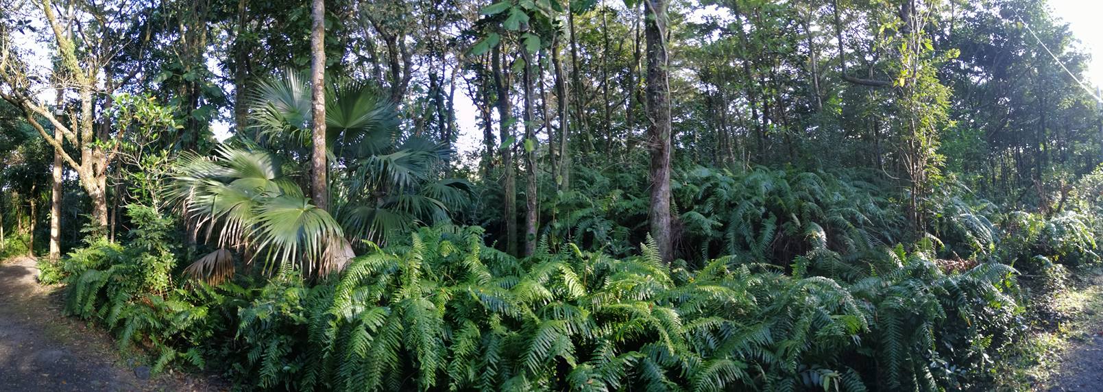 Photo Auberge Guimard