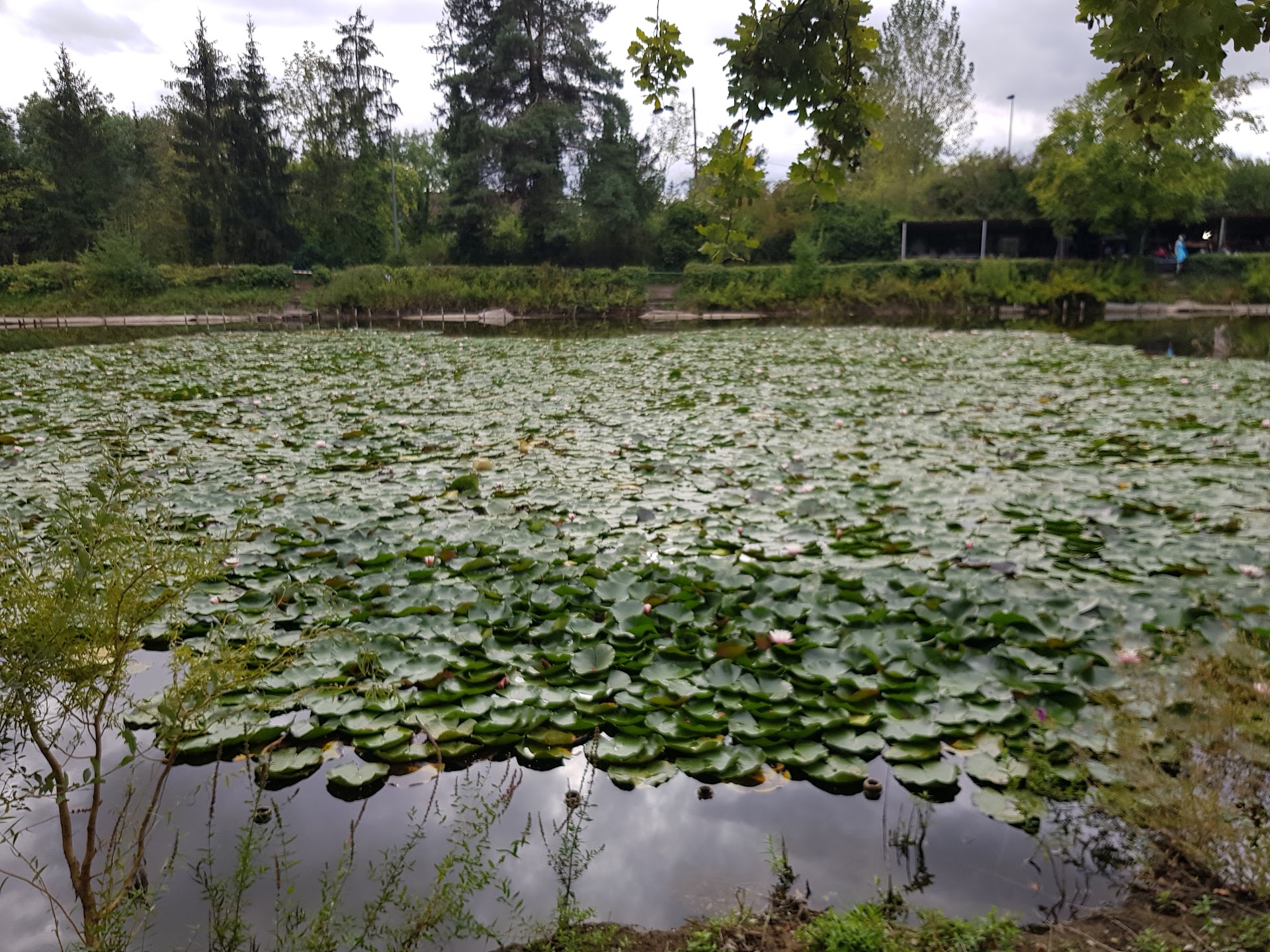 Photo Etang Strasbourg 1922