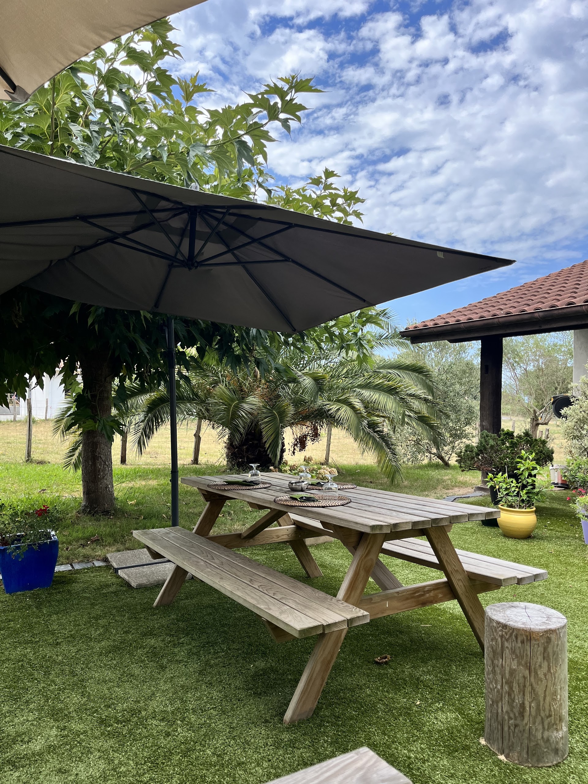 Photo Trinquet Anderenia