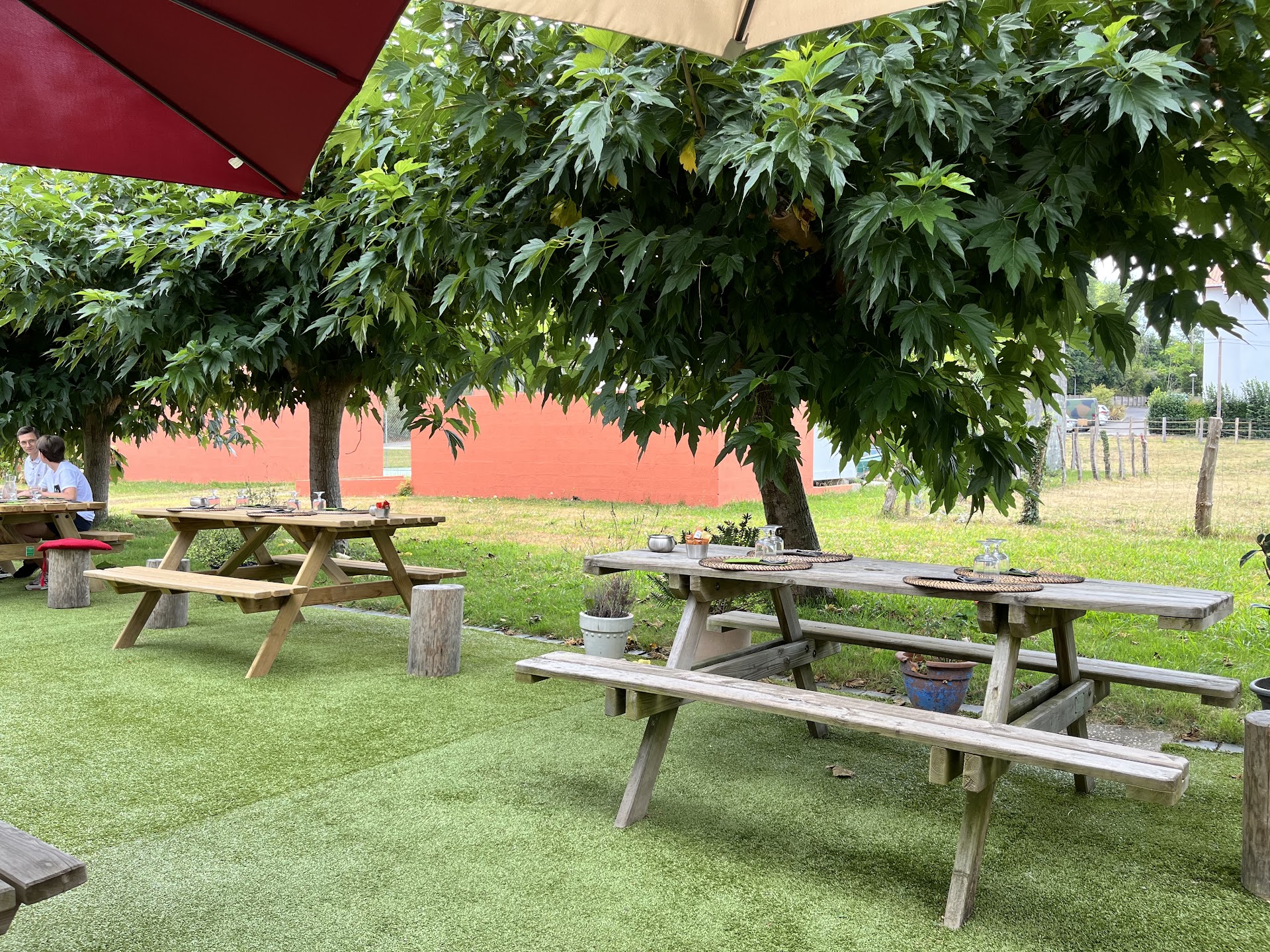 Photo Trinquet Anderenia