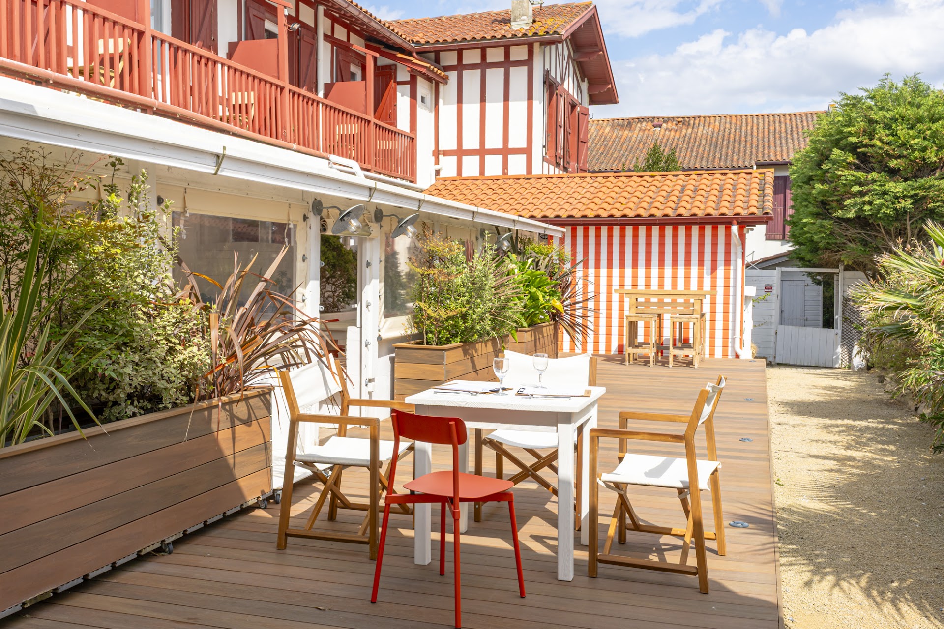 Photo Capybara Bidart