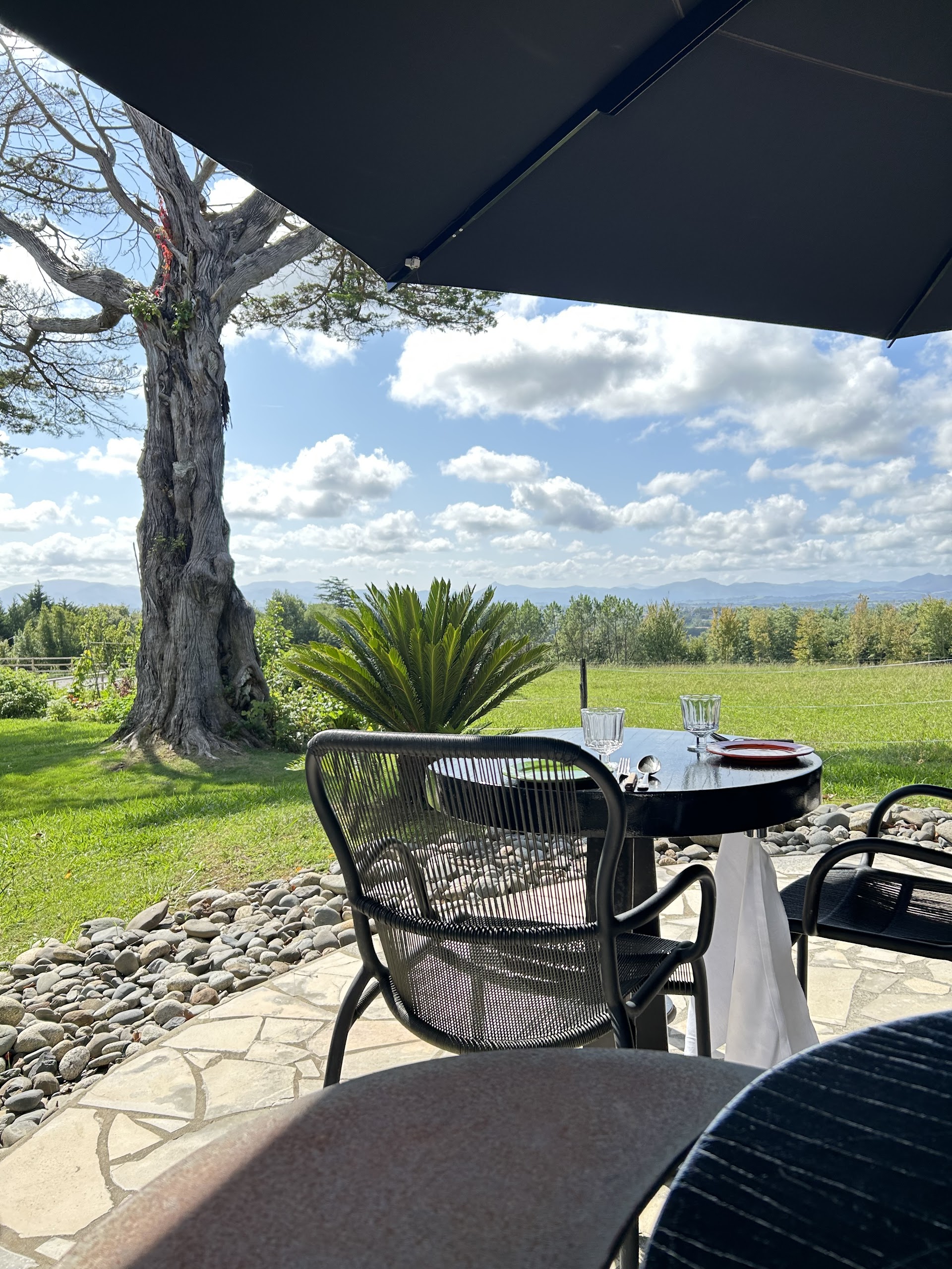 Photo Restaurant Marius Biarritz