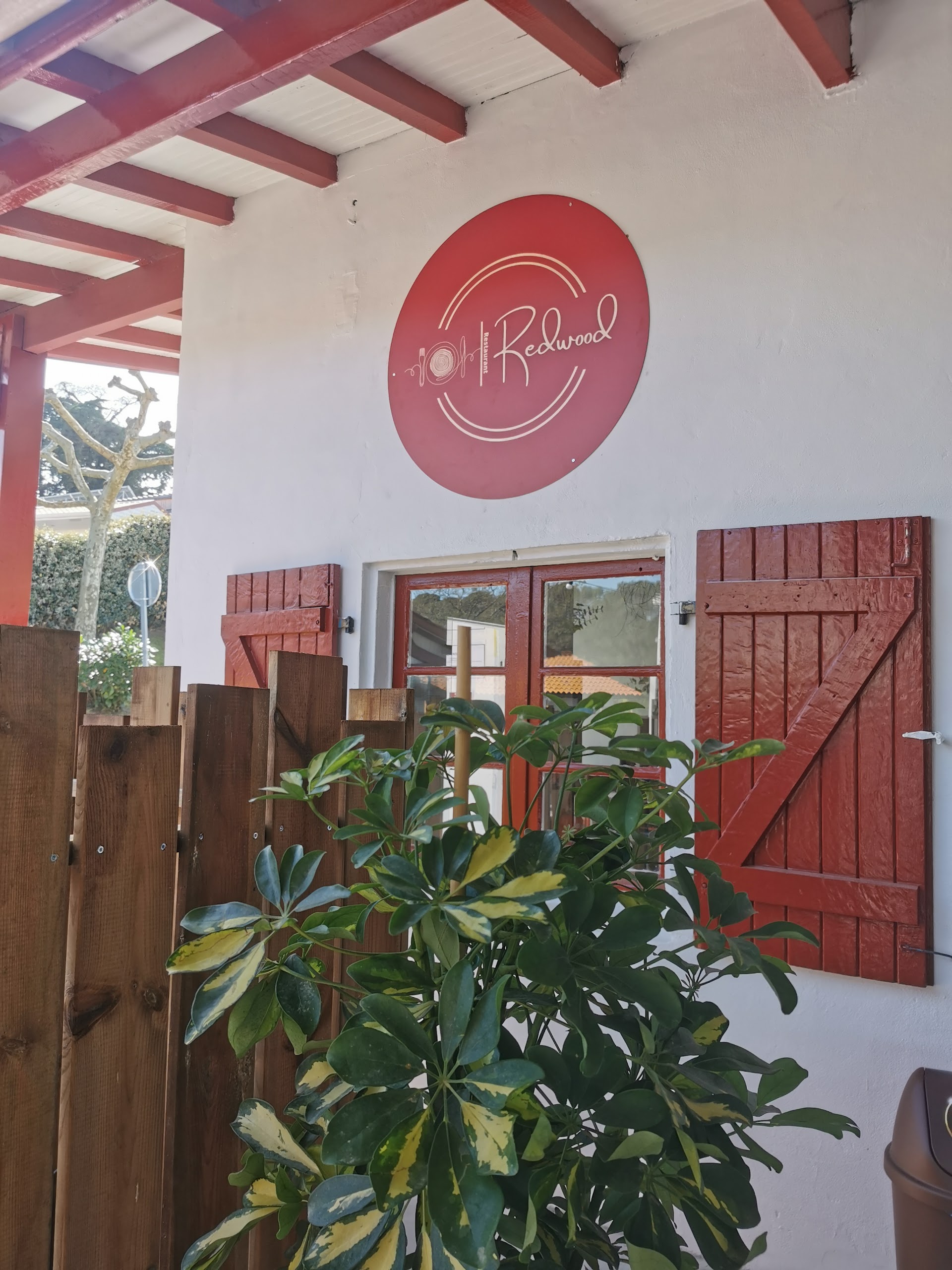 Photo Redwood Ilbarritz