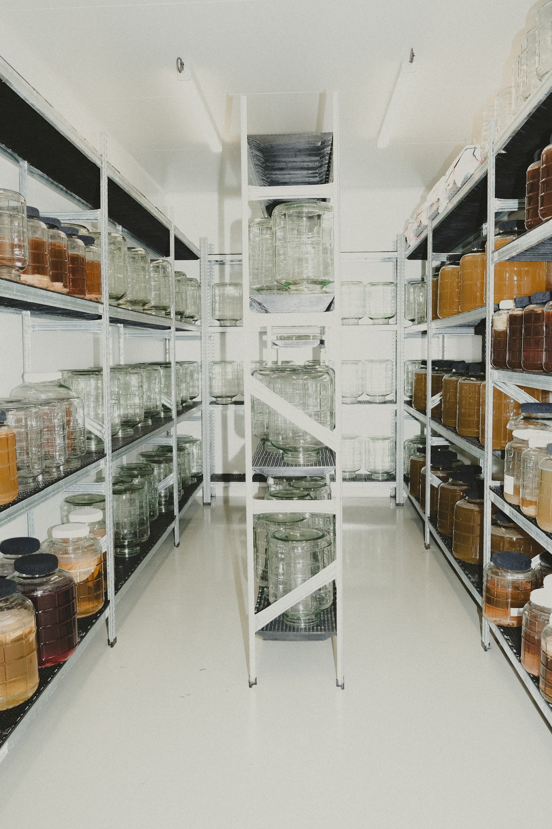 Photo Datxa Kombucha