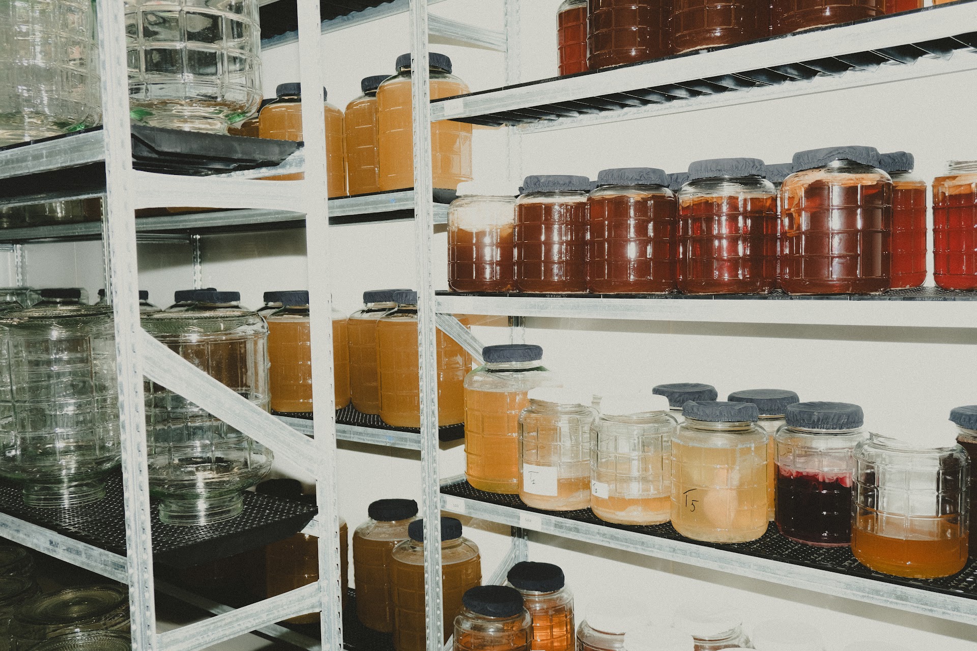 Photo Datxa Kombucha