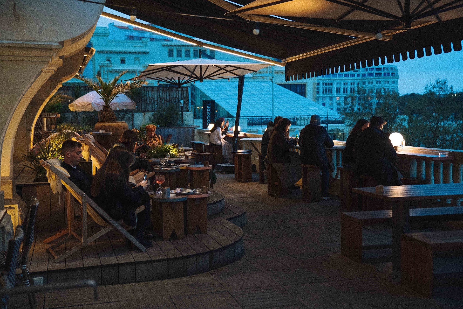 Photo Jack The Cockerel