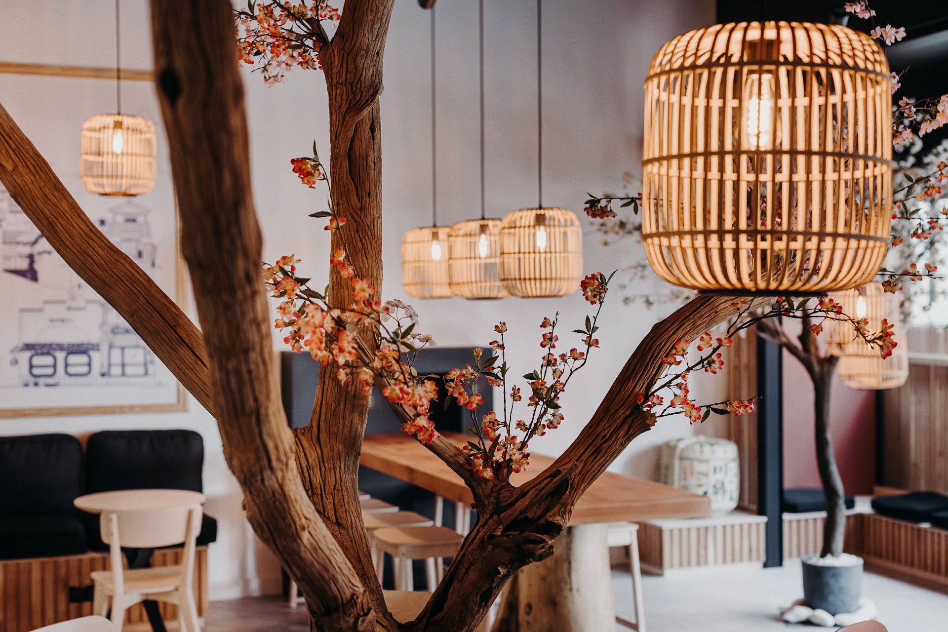 Photo Mogu Japan Cafe