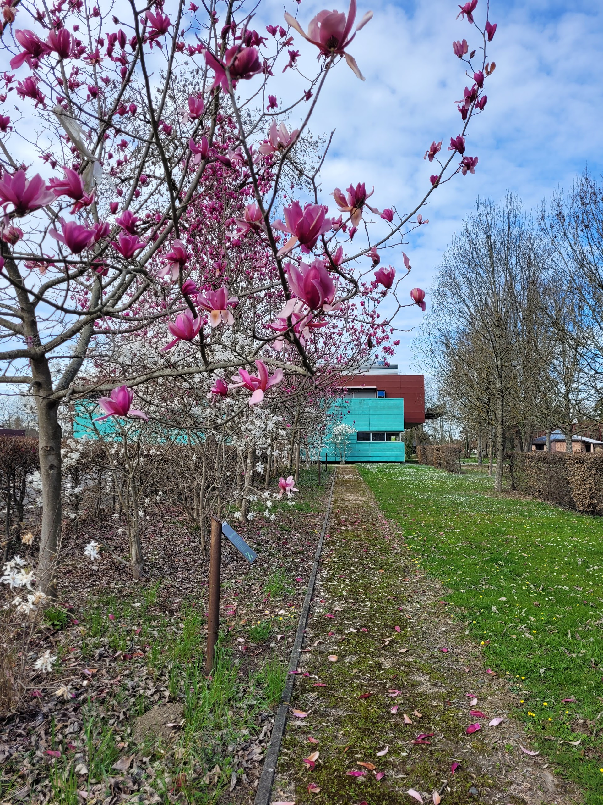 Photo Cuisine Centrale