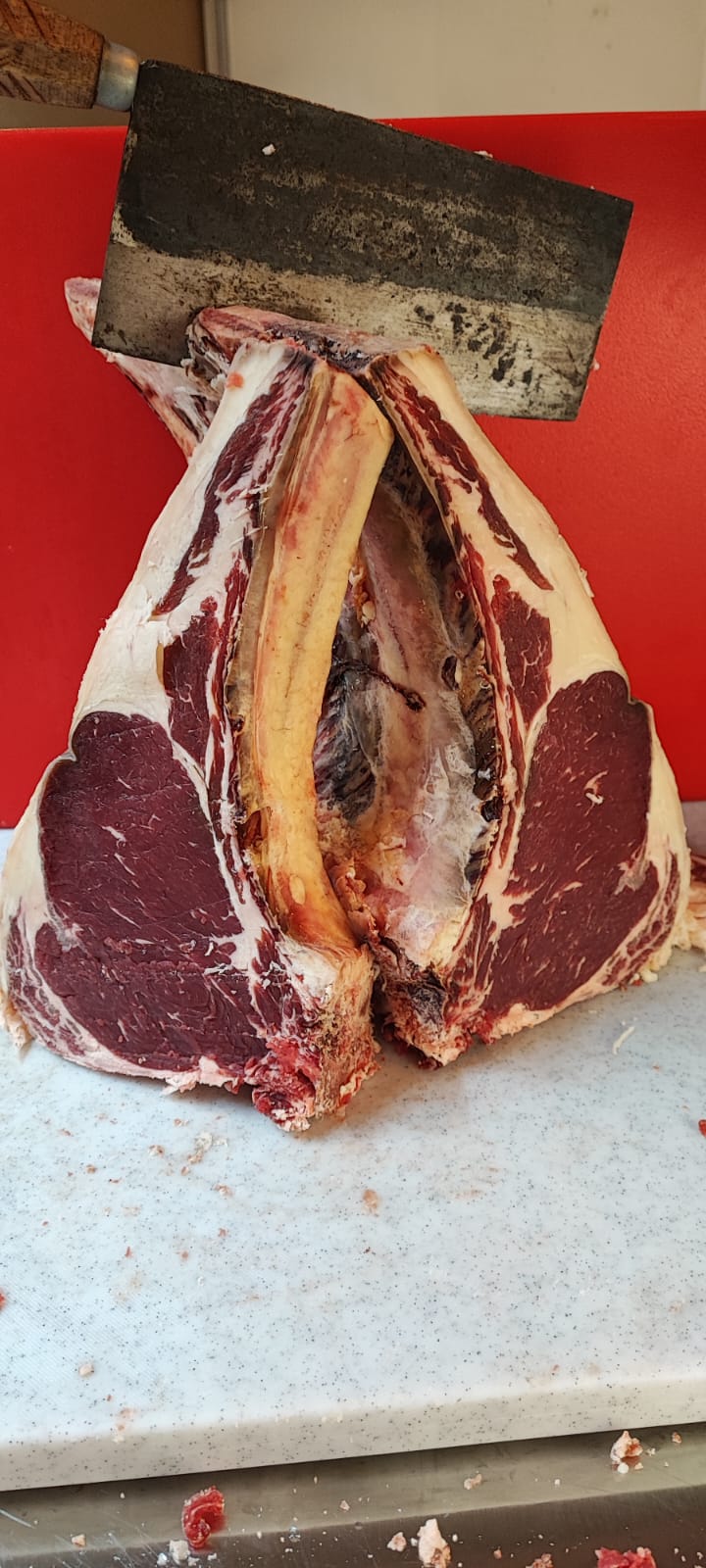 Photo Le Bœuf Royal