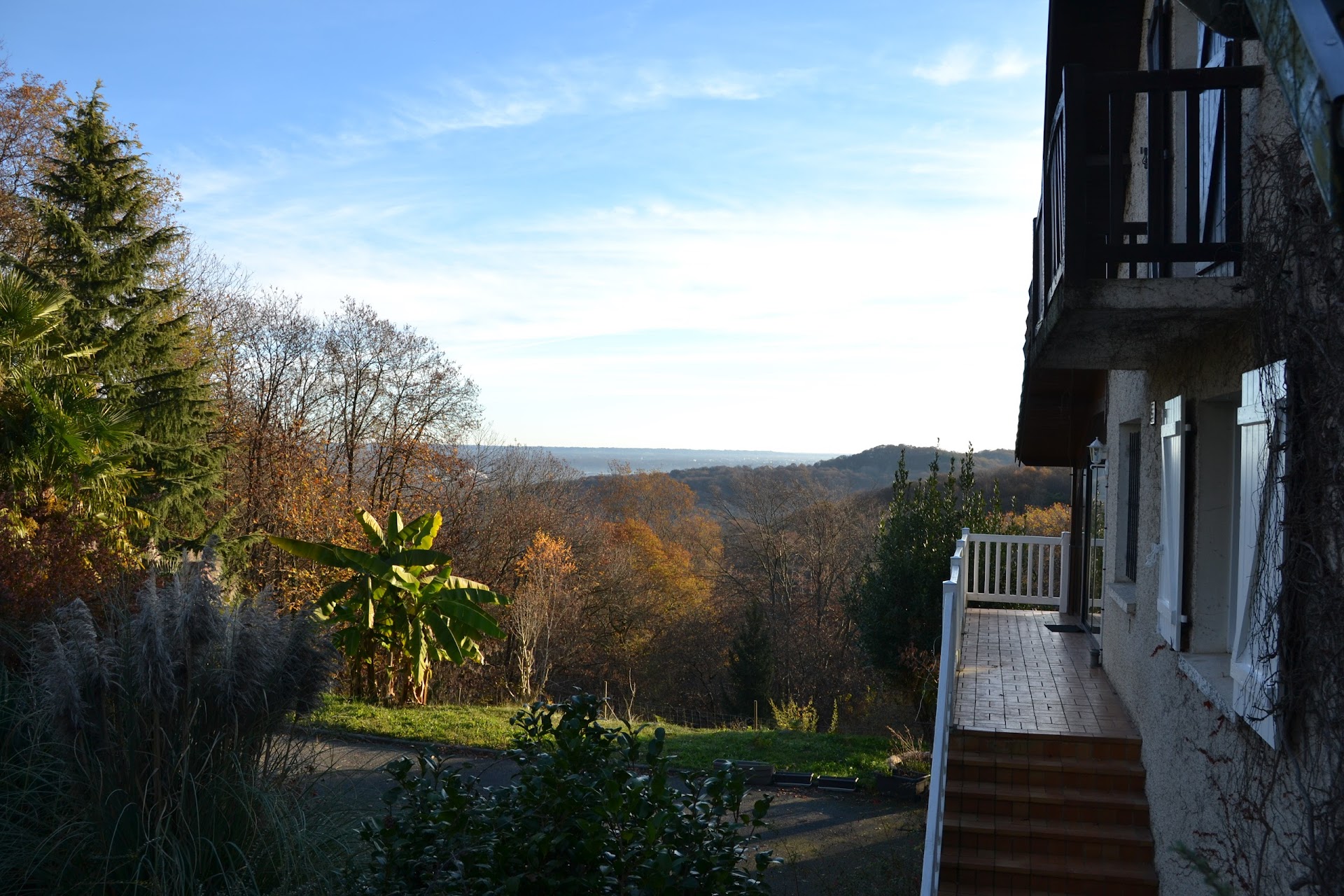 Photo B&B - En plein cœur de la forêt