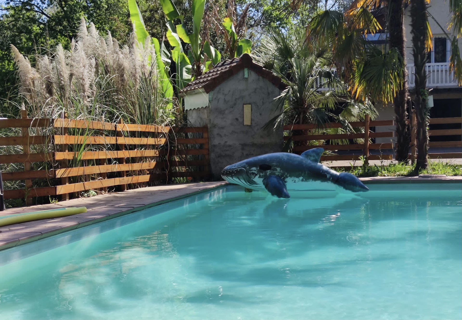 Photo B&B - En plein cœur de la forêt