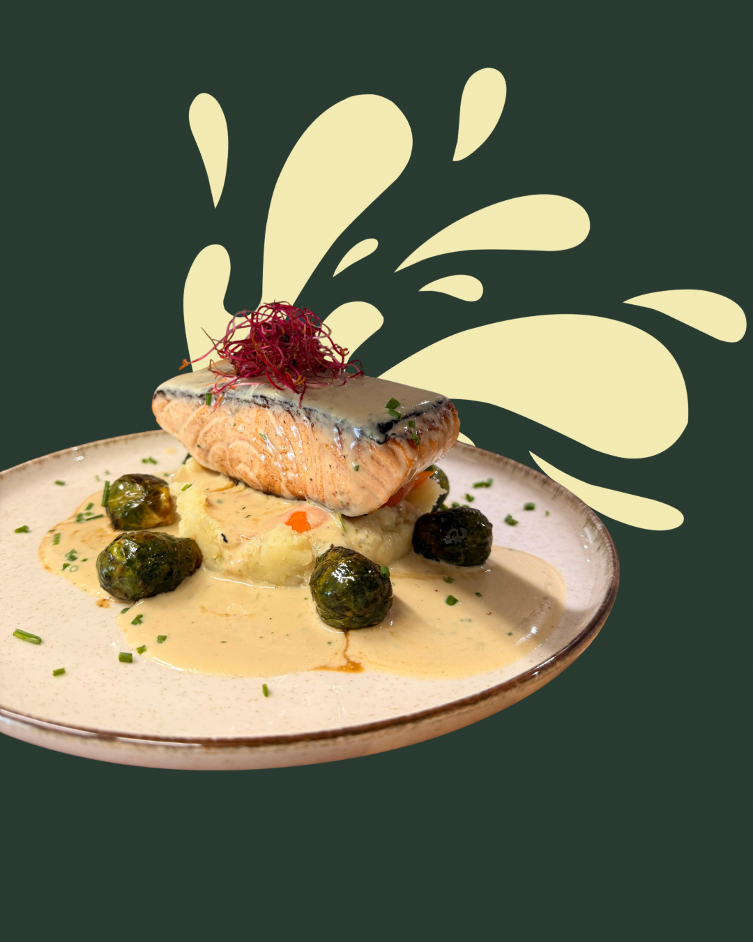 Photo Maqani - Mediterranean restaurant in Pau