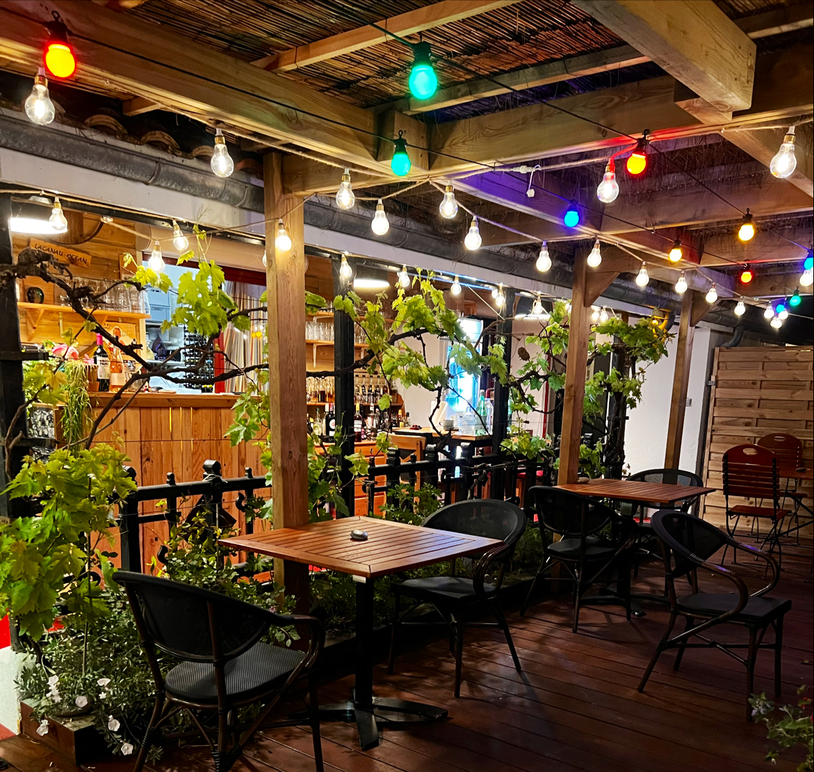 Photo Le Chat Sur Le Toit