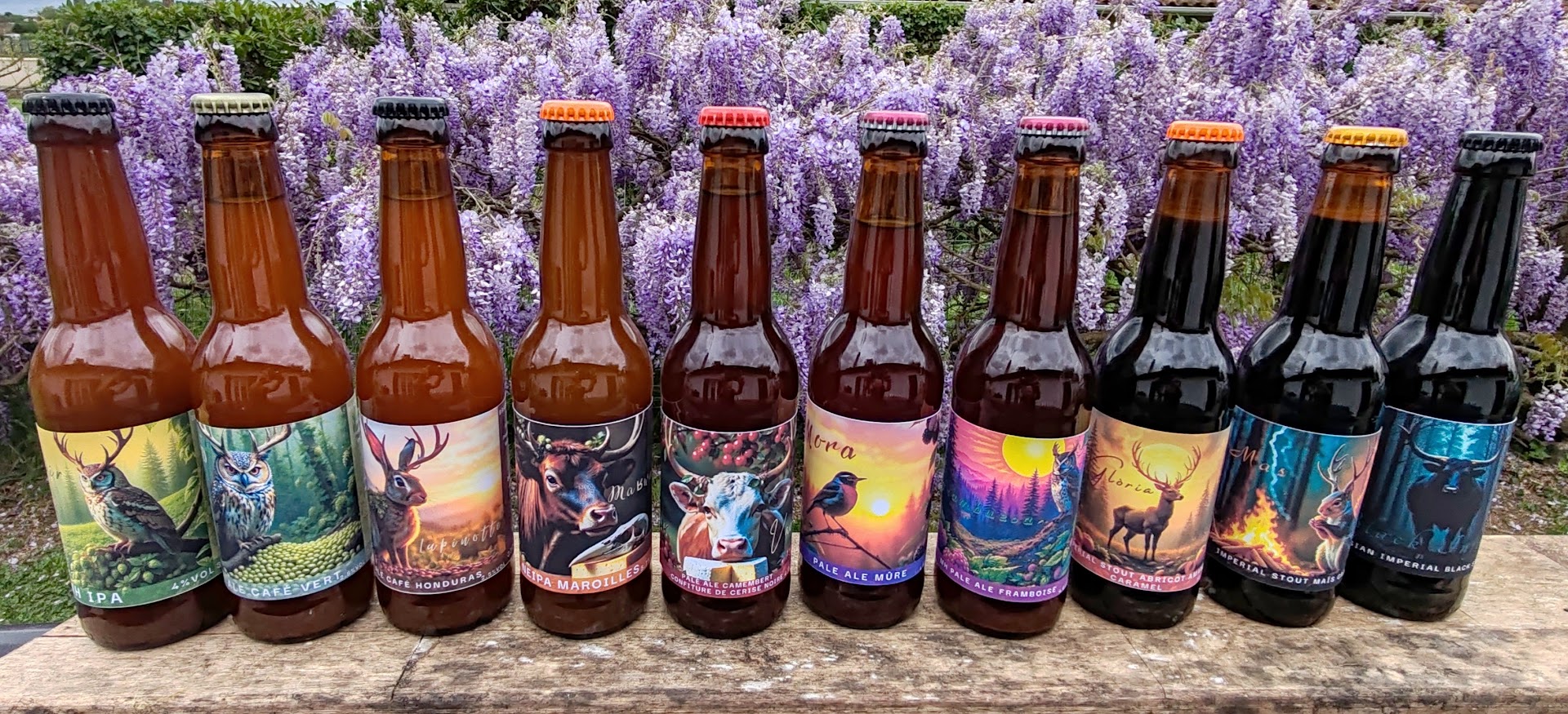 Photo Brasserie Noktua Brama