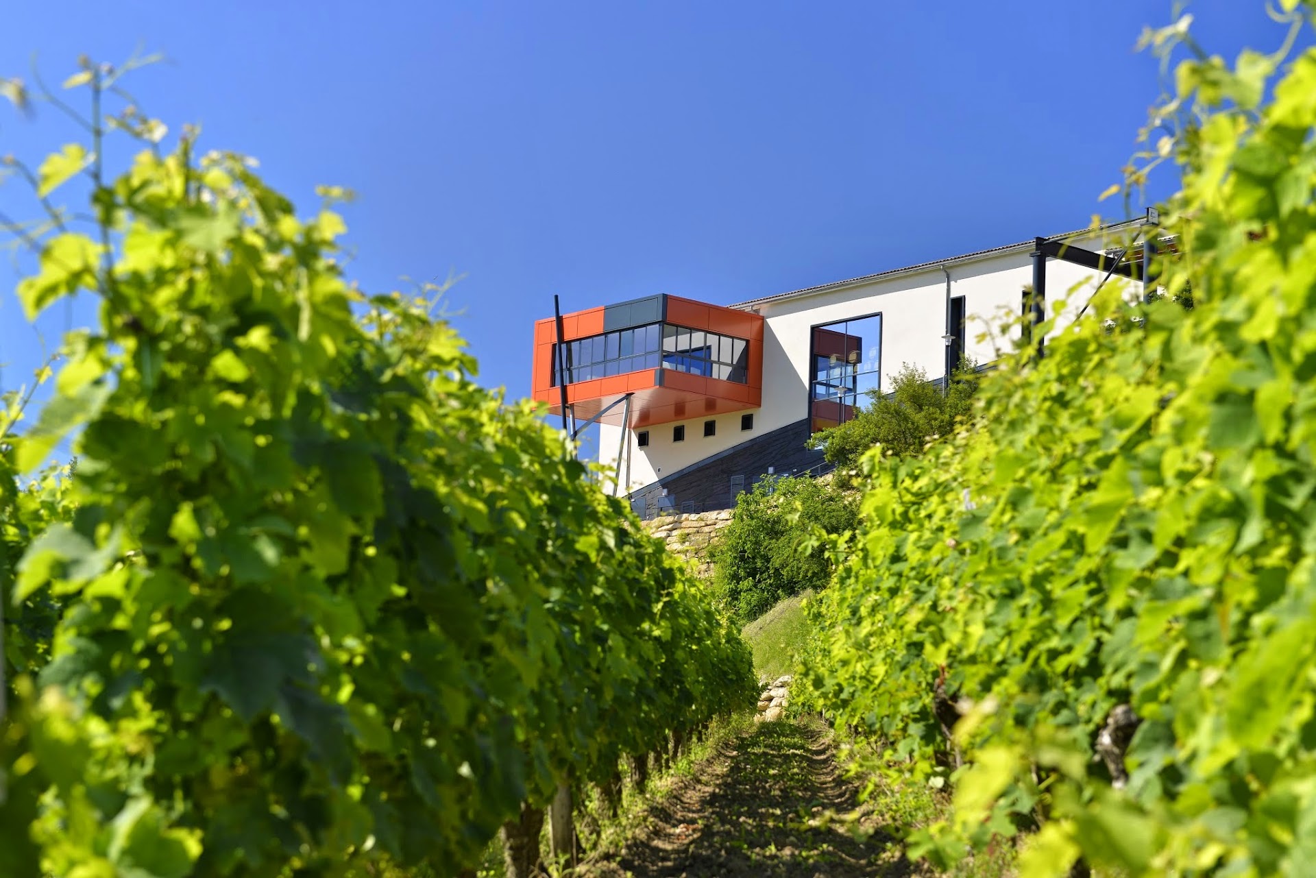 Photo Château La Croizille, Saint-Emilion Grand Cru Classé