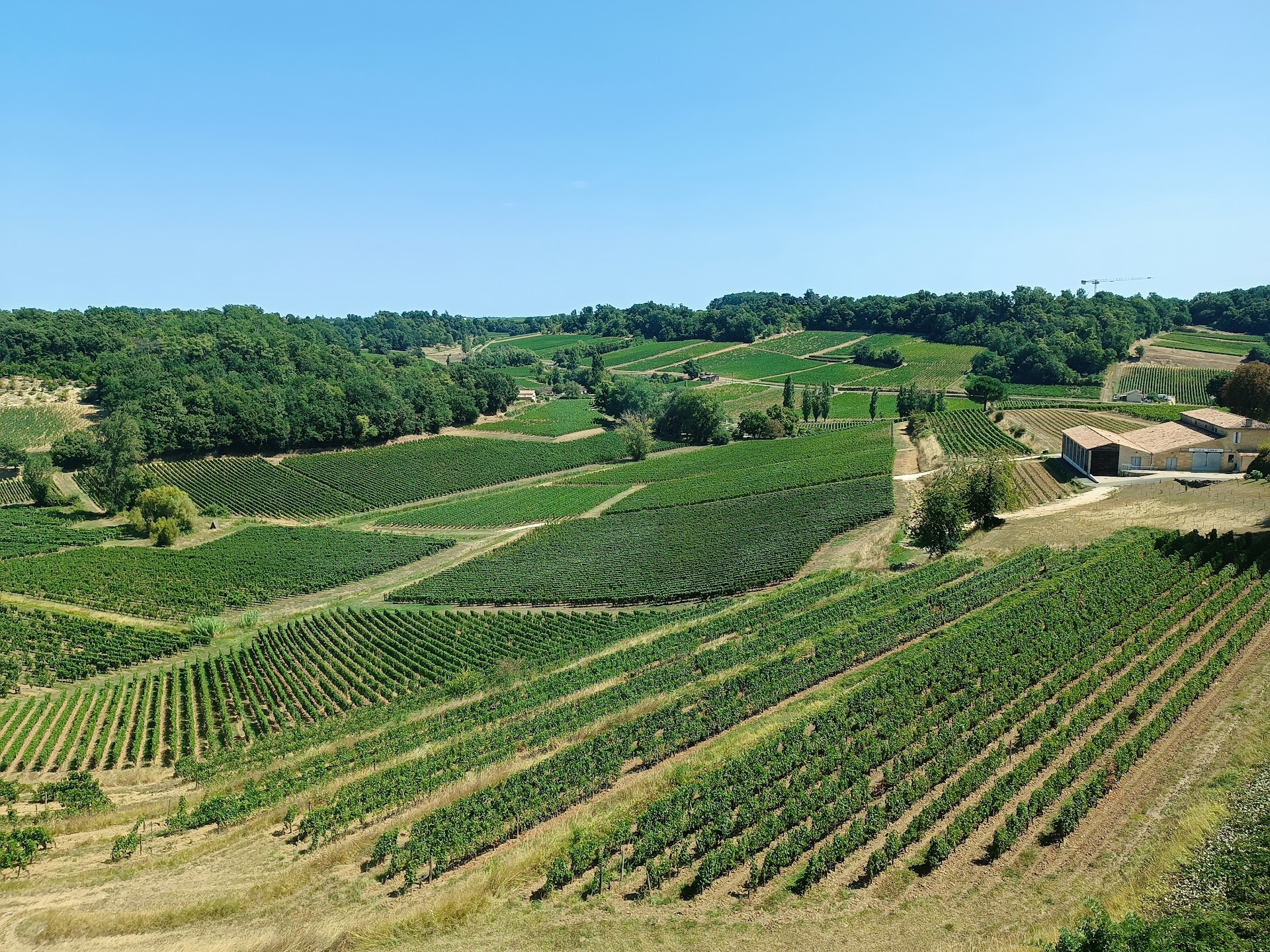 Photo Château La Croizille, Saint-Emilion Grand Cru Classé