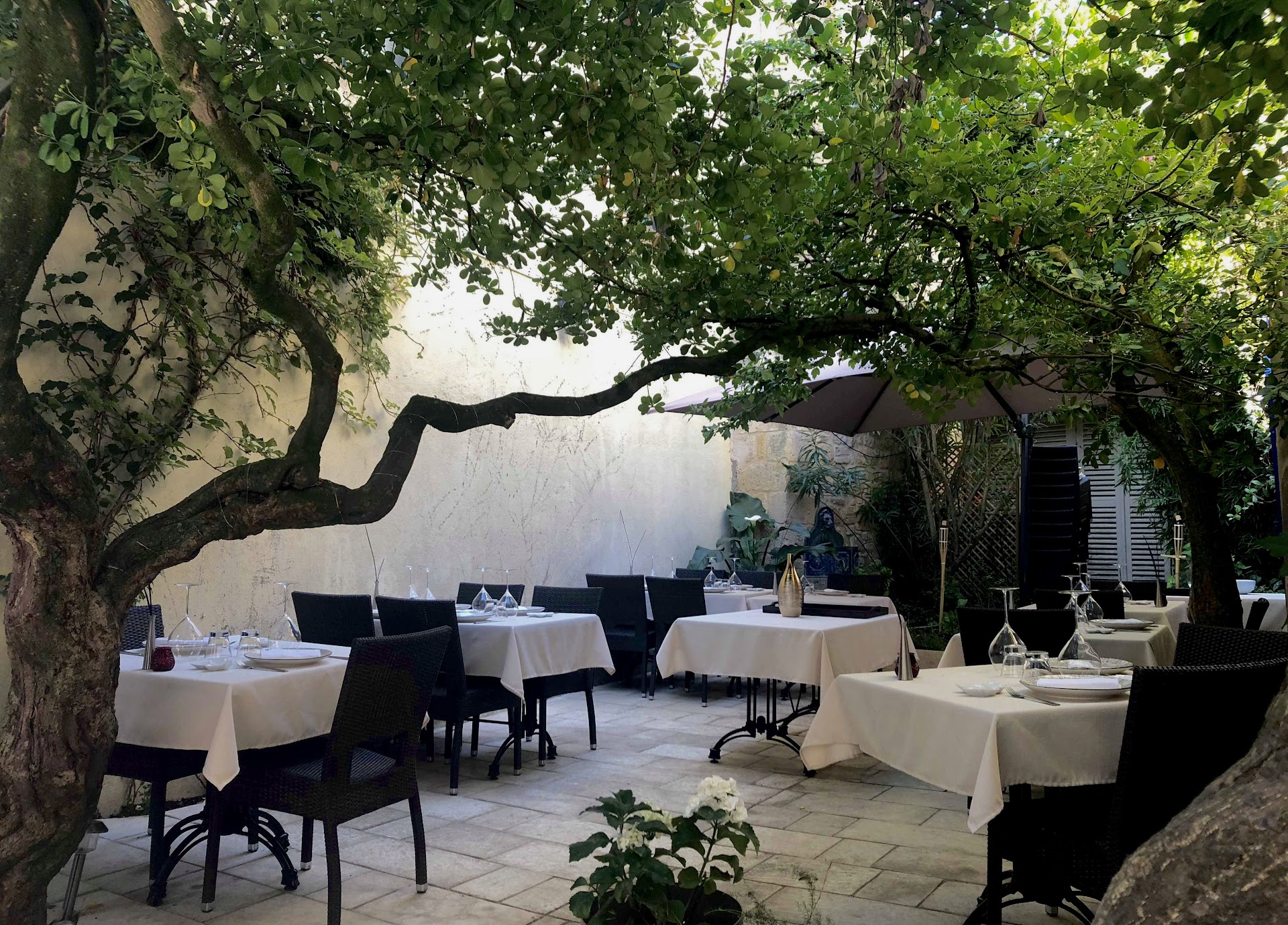 Photo L'Huitrier Pie