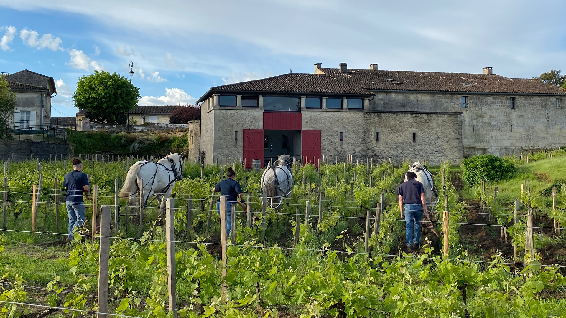 Photo Château Cardinal-Villemaurine