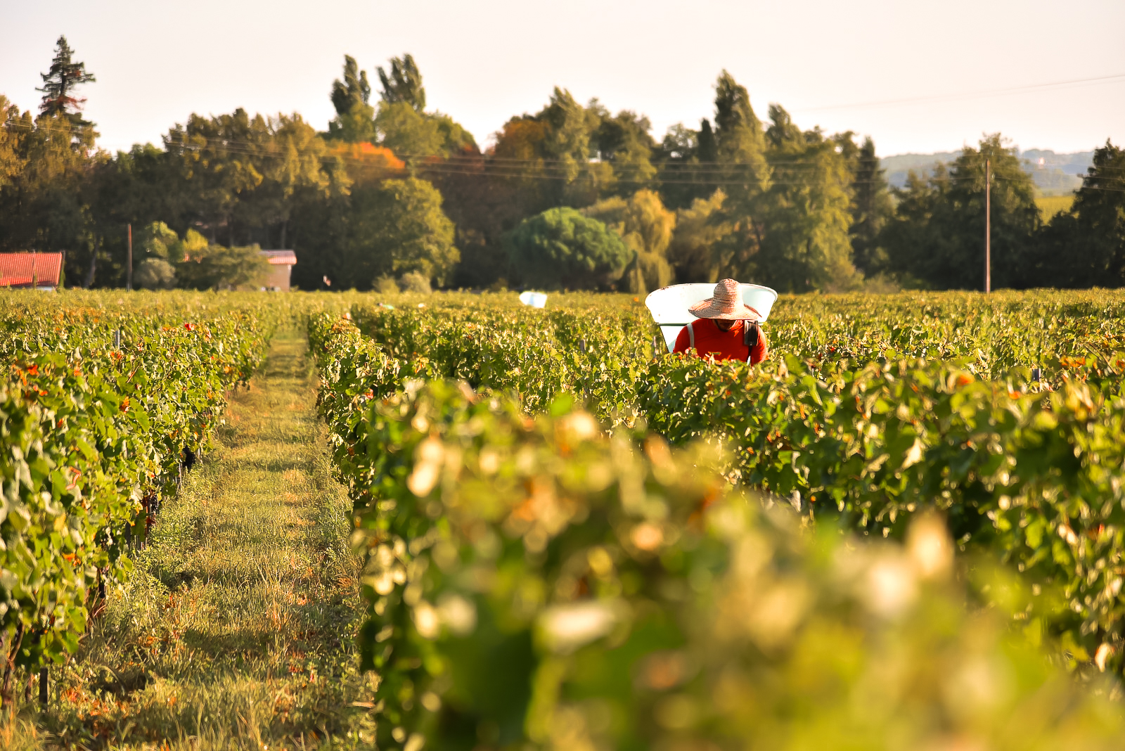 Photo Château Coupelle d'Ertan
