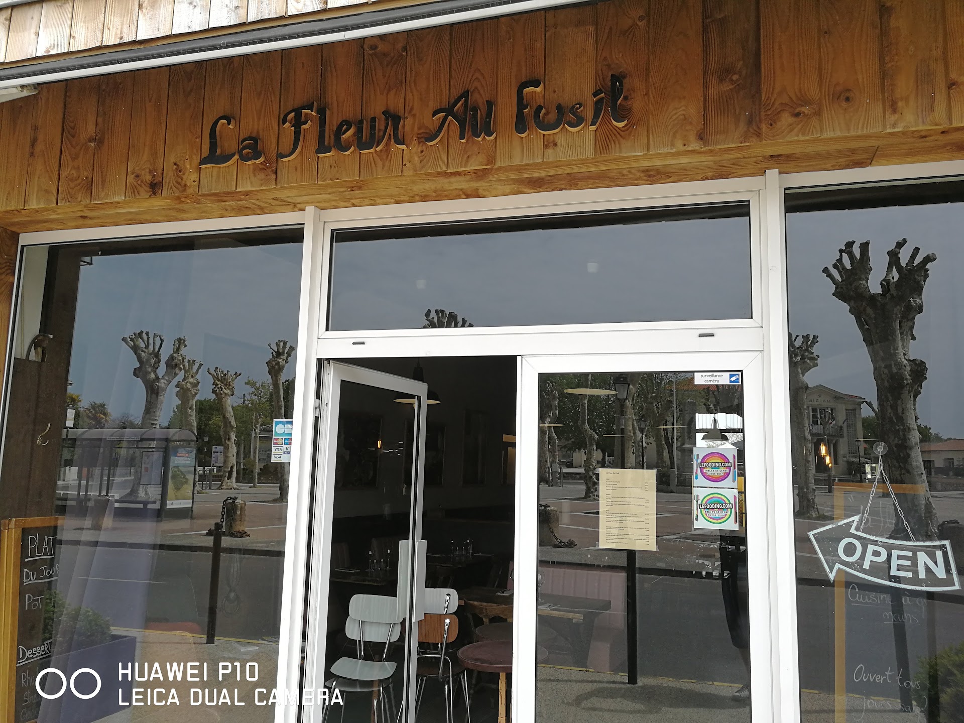 Photo La Fleur Au Fusil