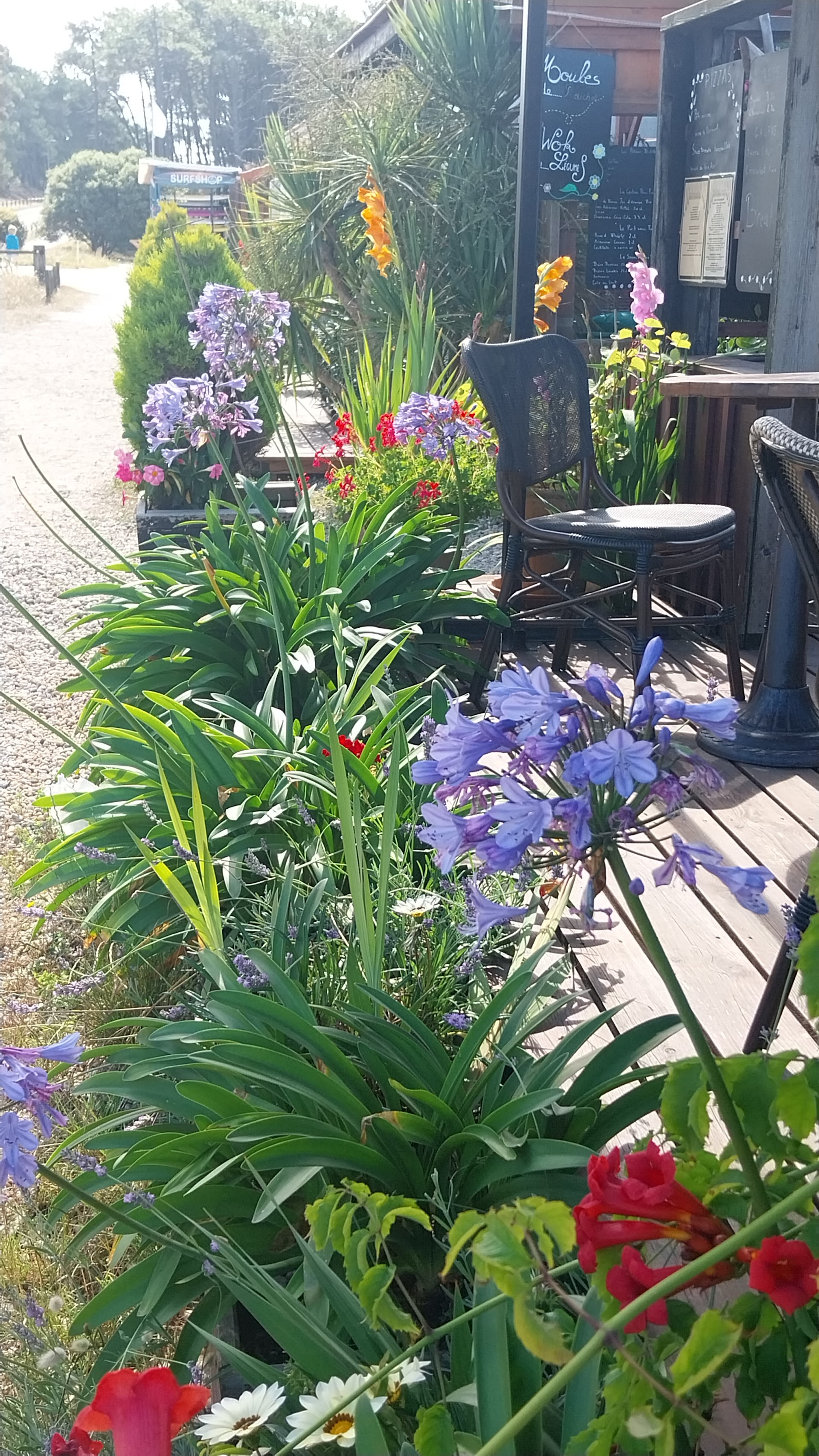 Photo Contes de la Mer