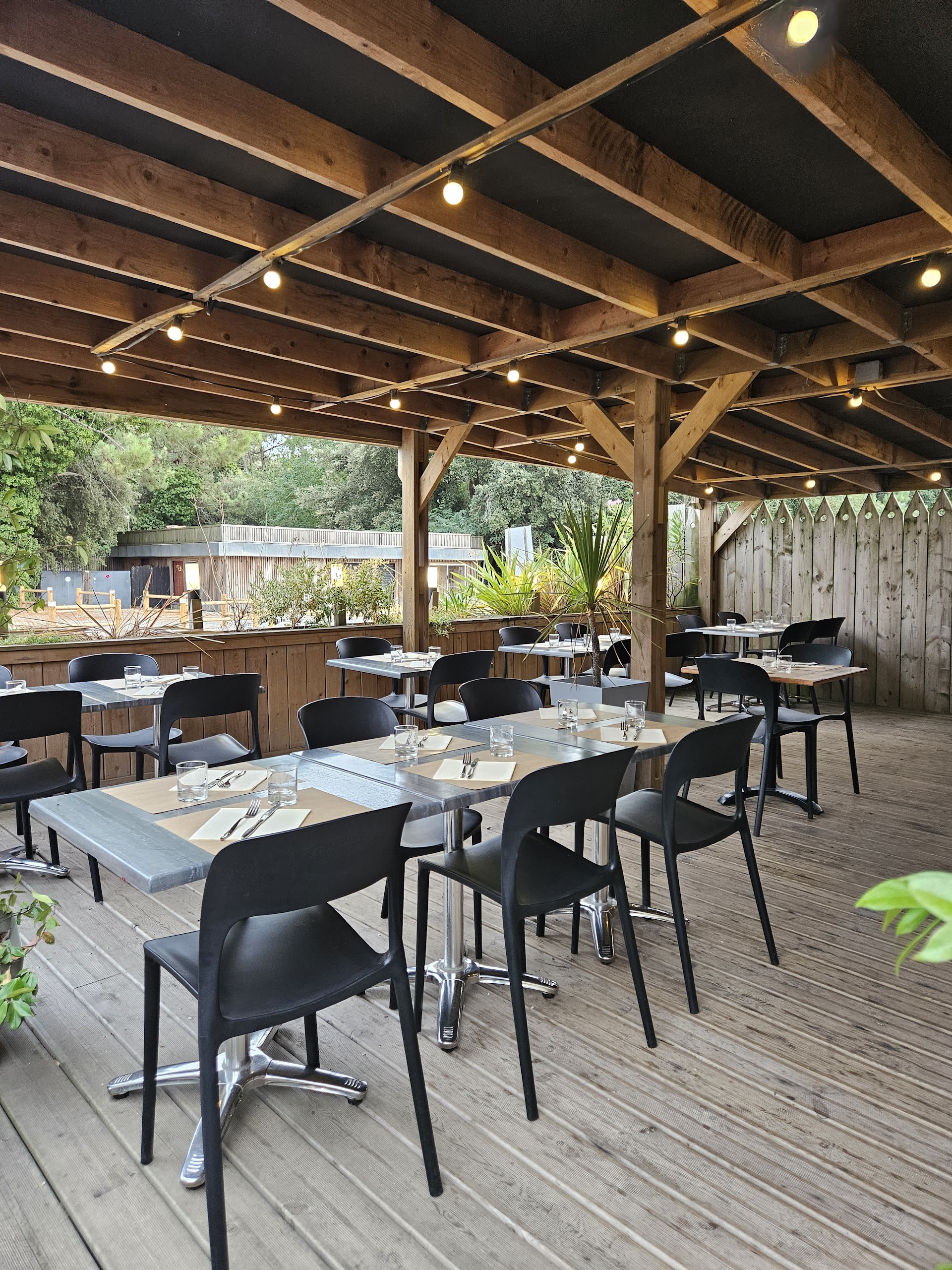 Photo Ô grain de sel