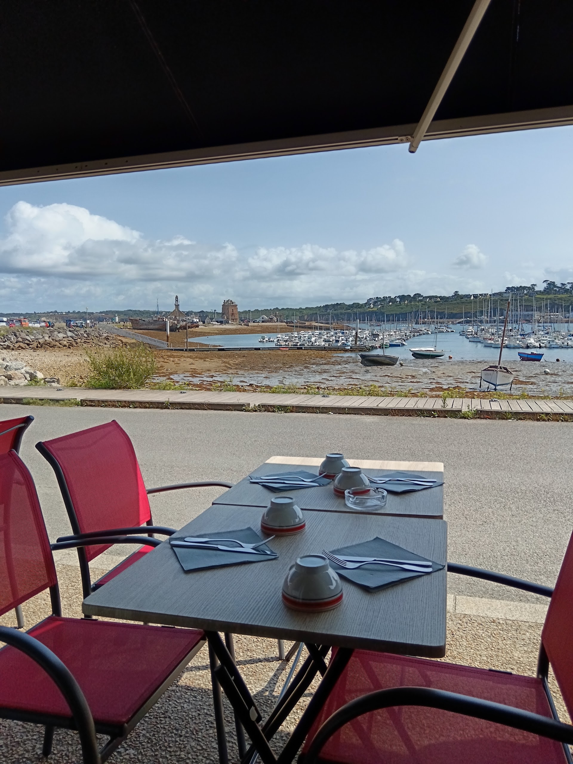 Photo Le Goéland Farceur
