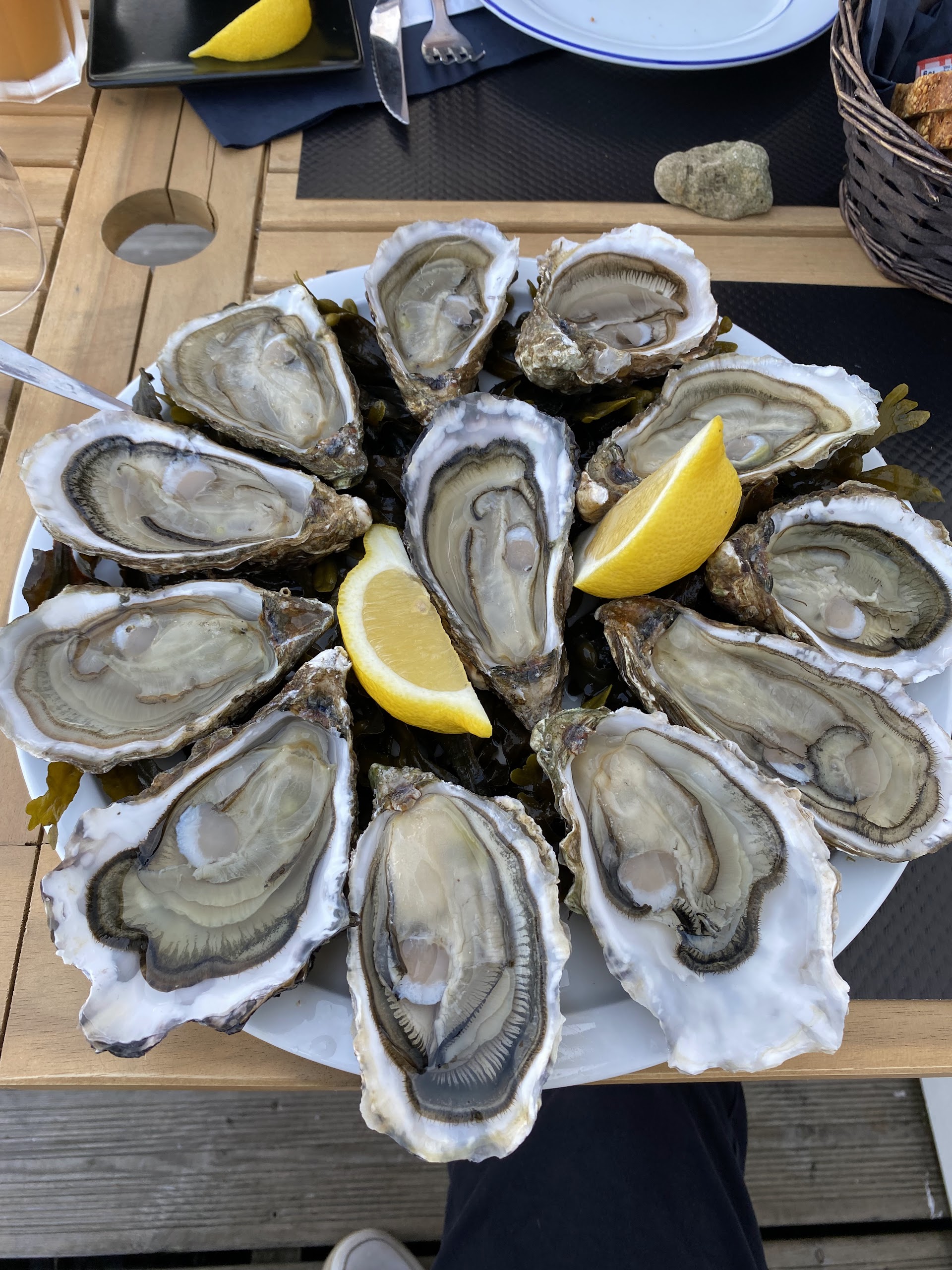 Photo Les Viviers de Térénez