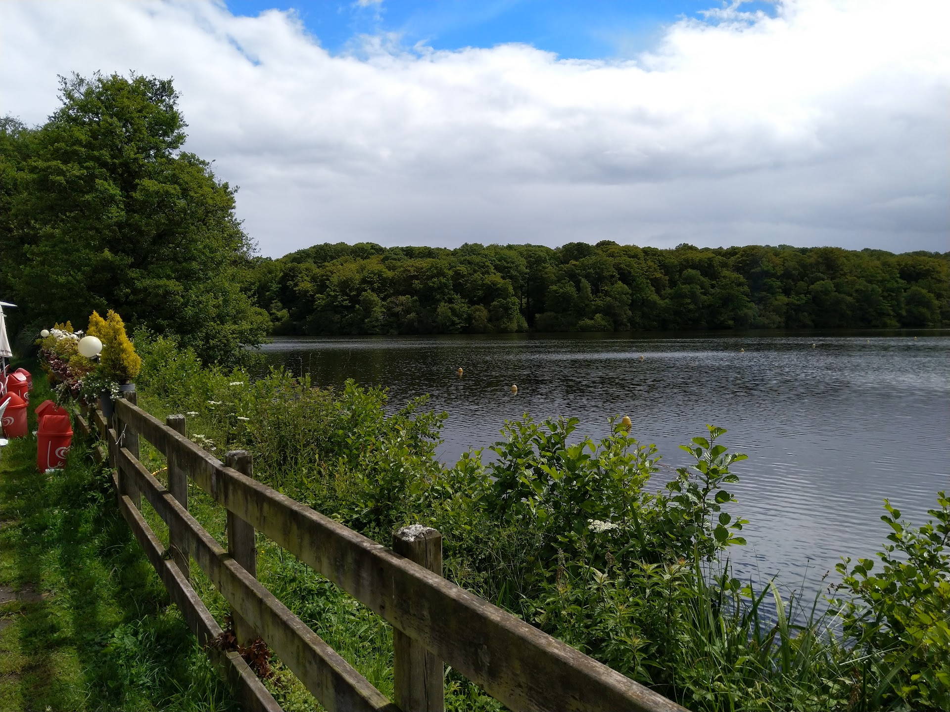 Photo Le moulin de la forêt
