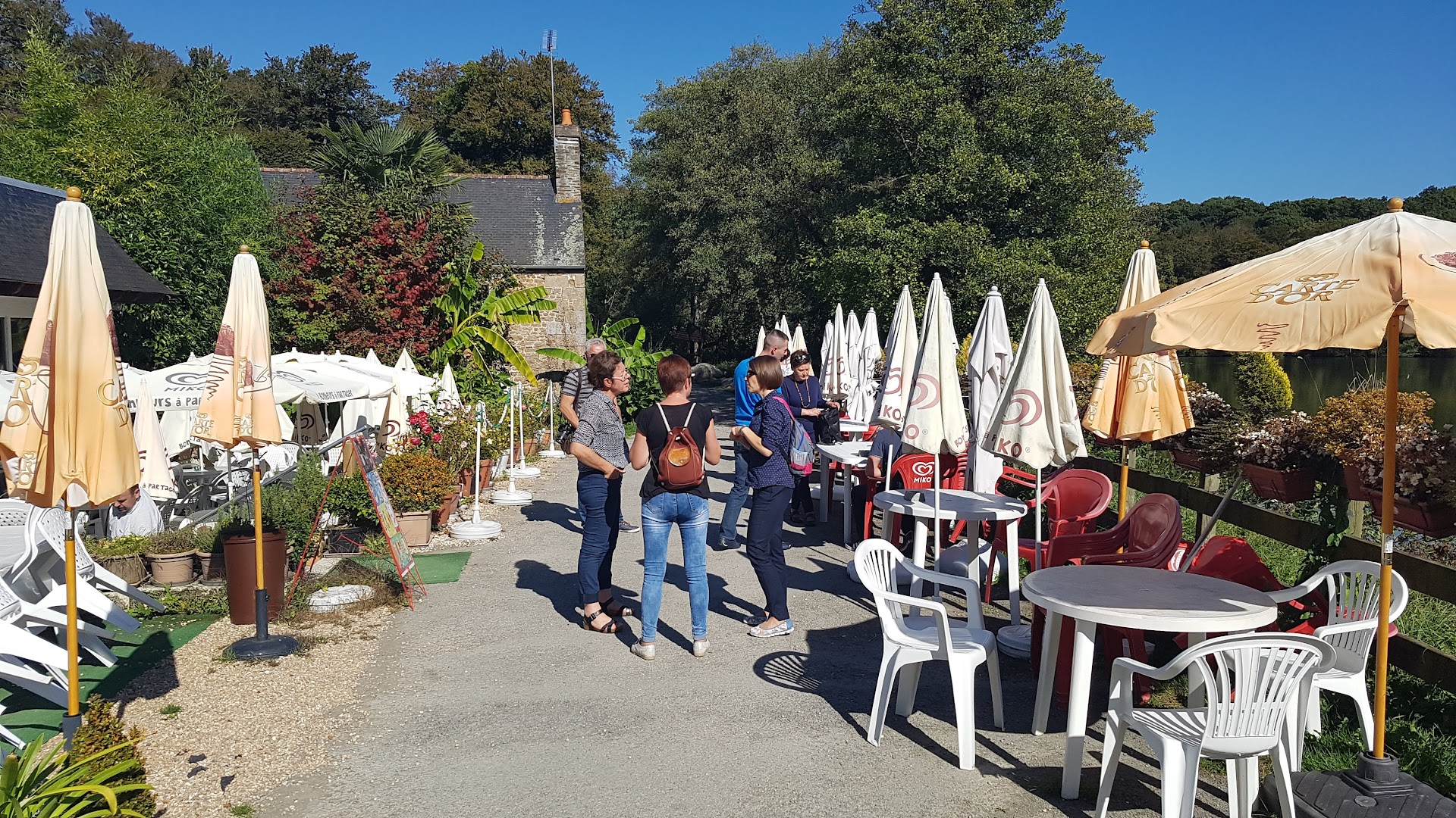 Photo Le moulin de la forêt