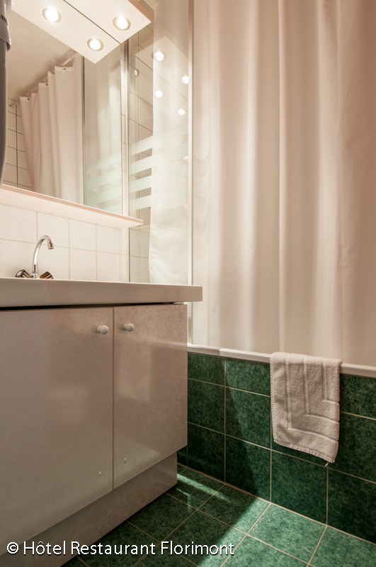 Photo Brit Hotel Florimont