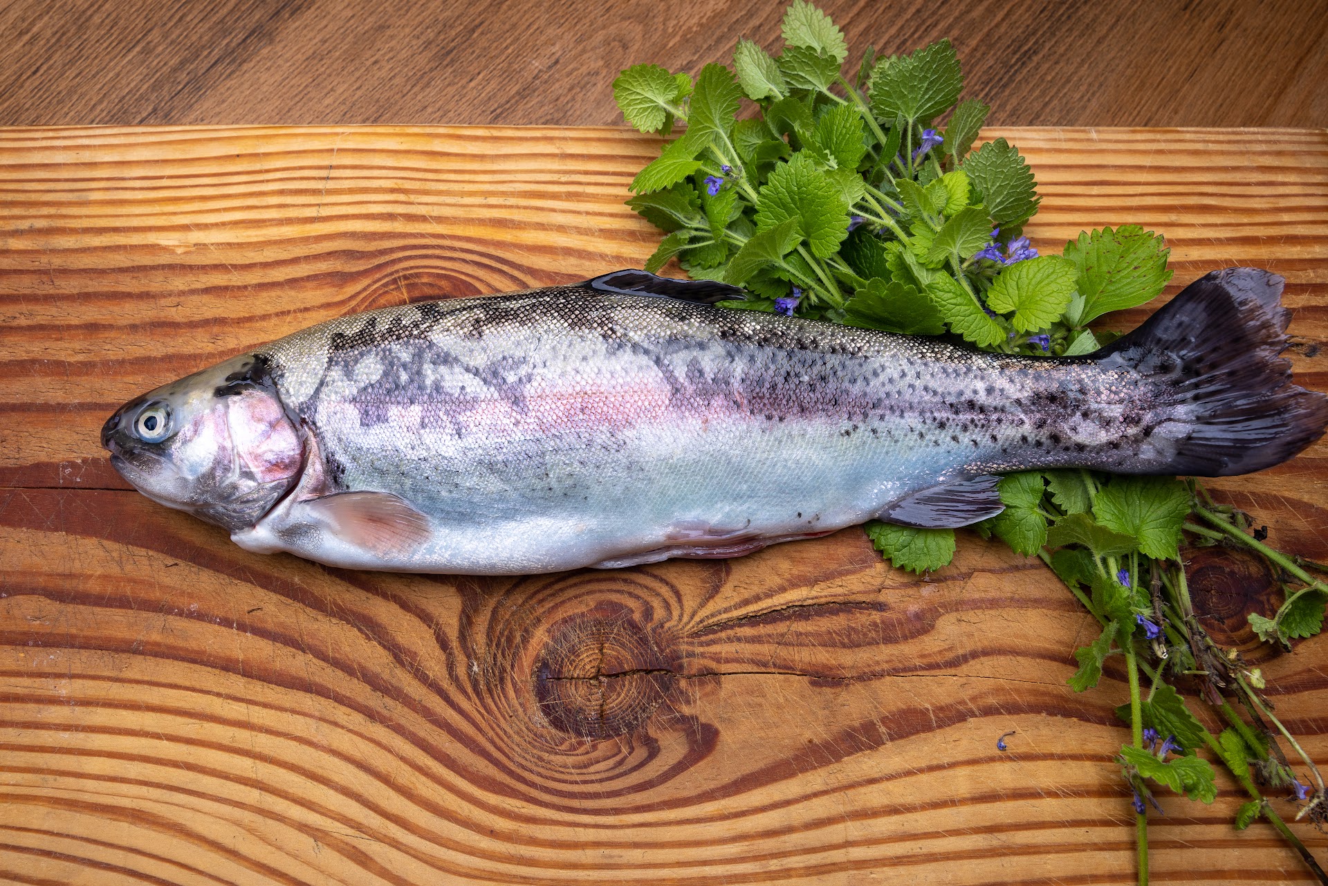 Photo Abîme l'auberge du pont