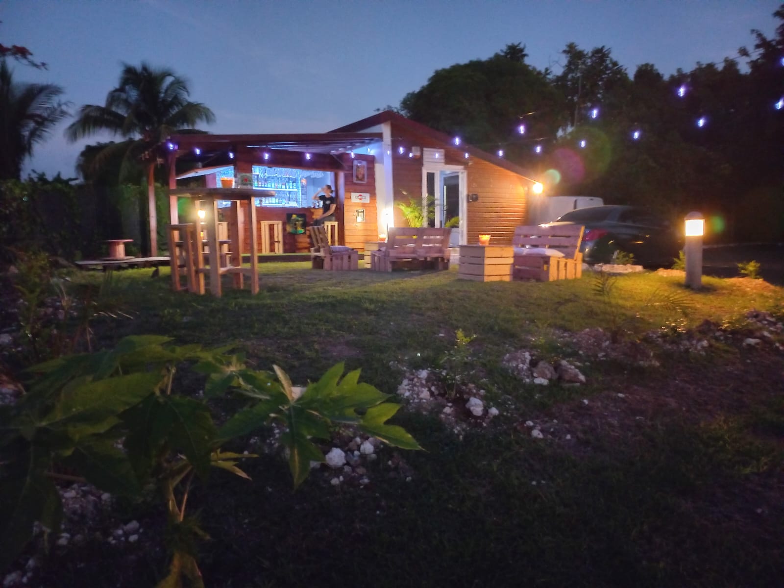 Photo SHAKE IT CARAÏBES