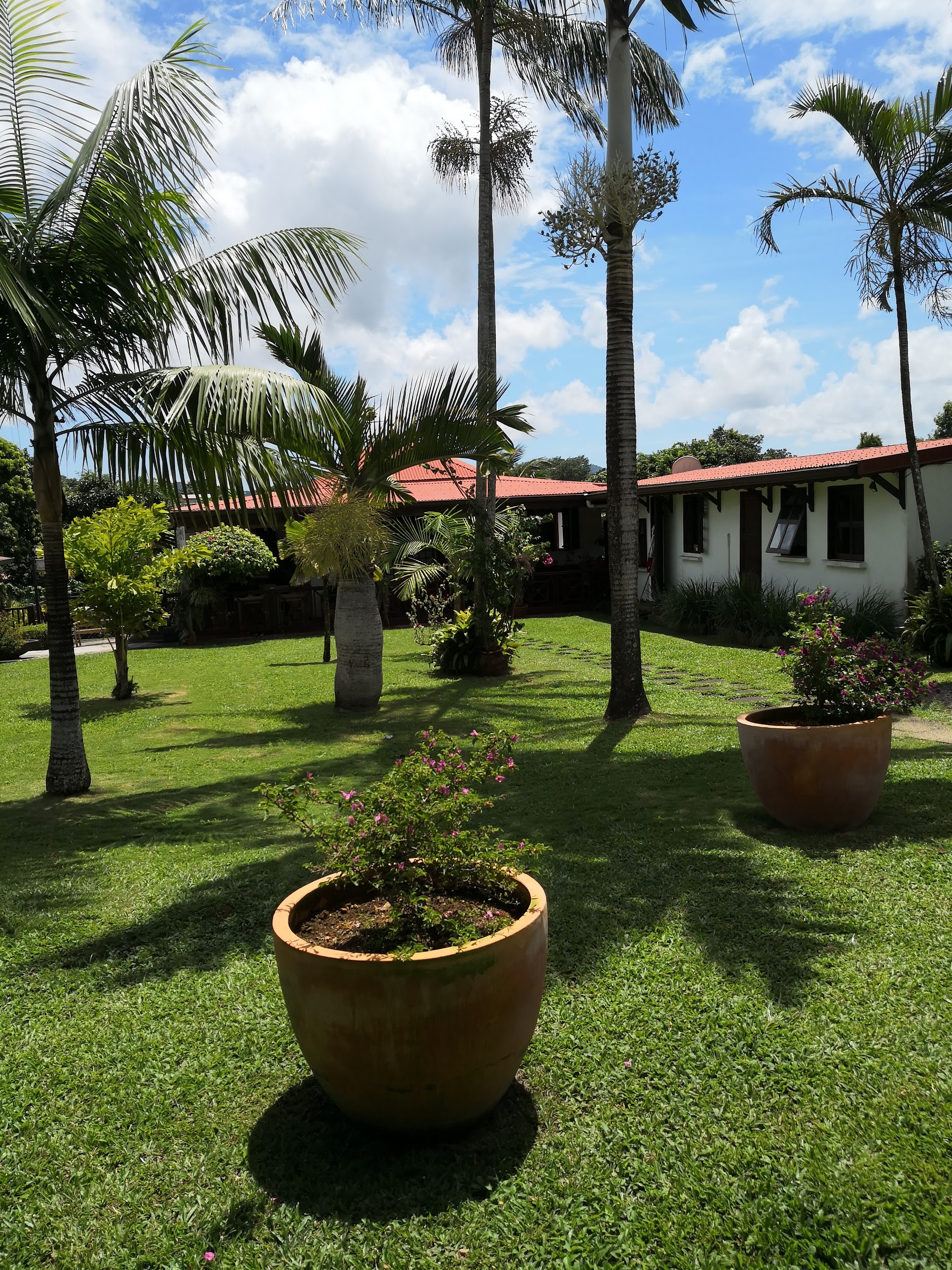 Photo La Table des Bougainvilliers
