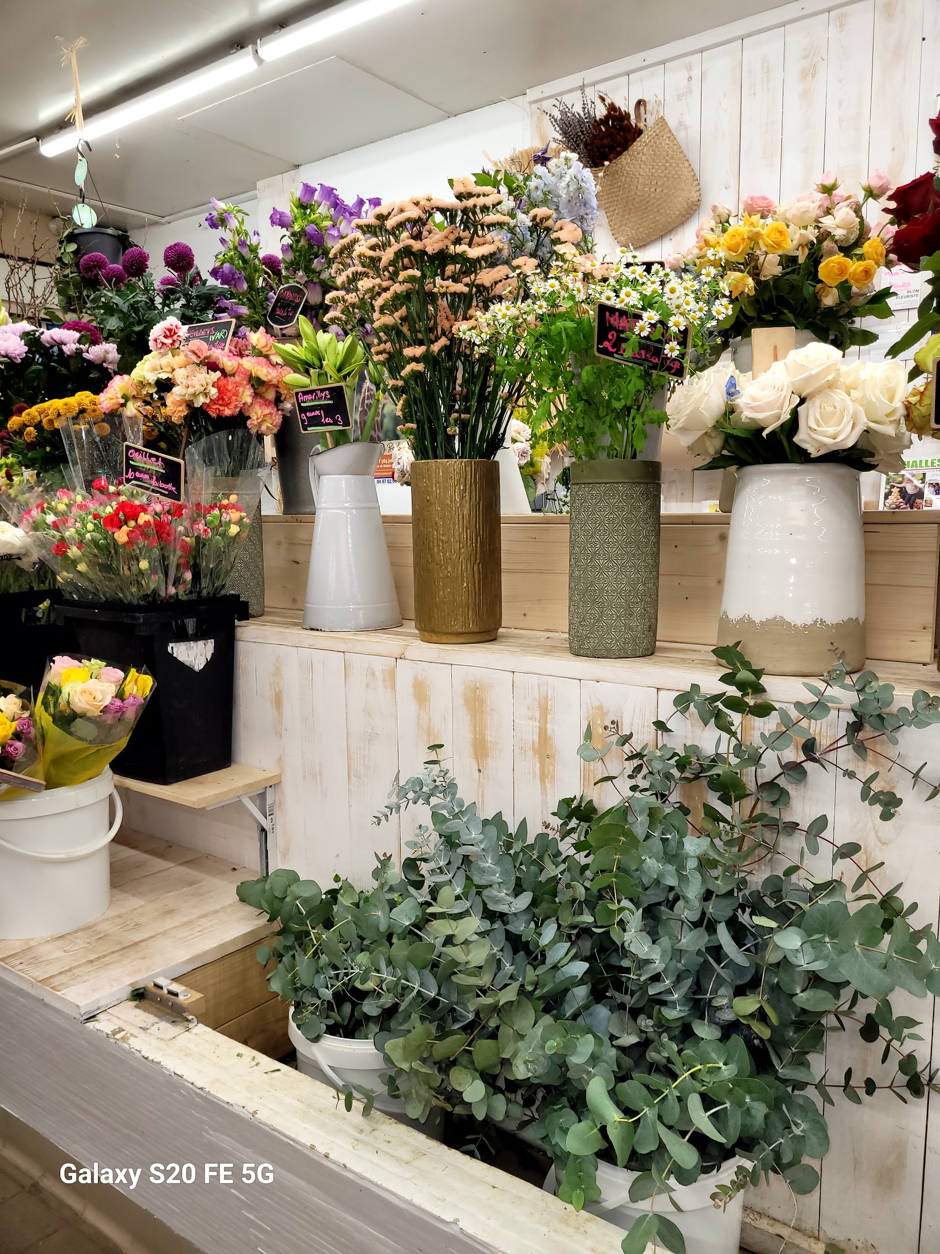 Photo Les Halles de Nîmes