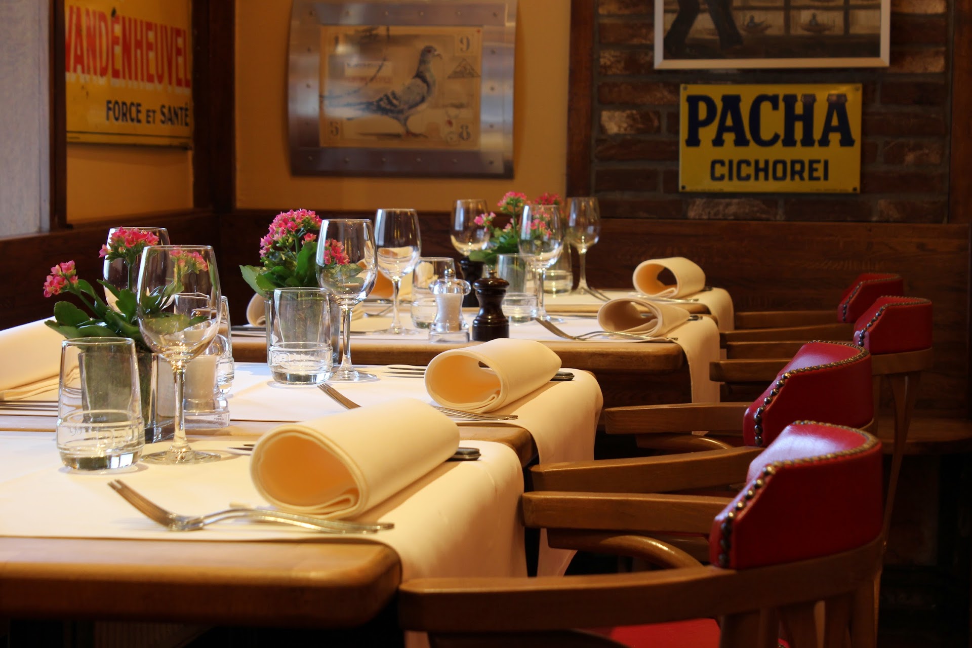 Photo Le Pigeon Noir