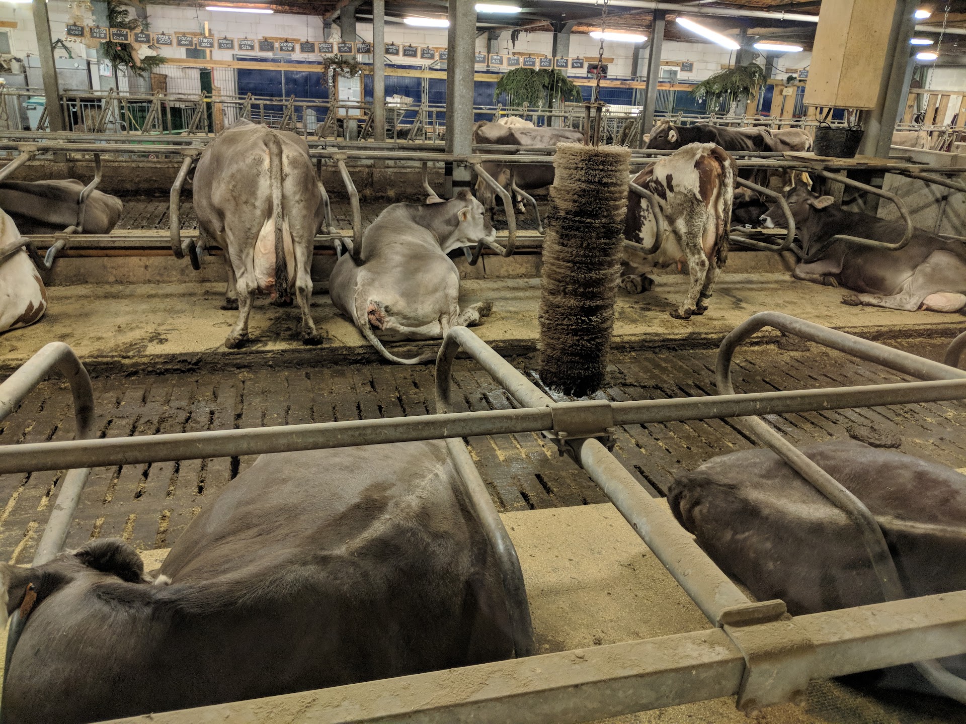 Photo L'Etable d'Alain