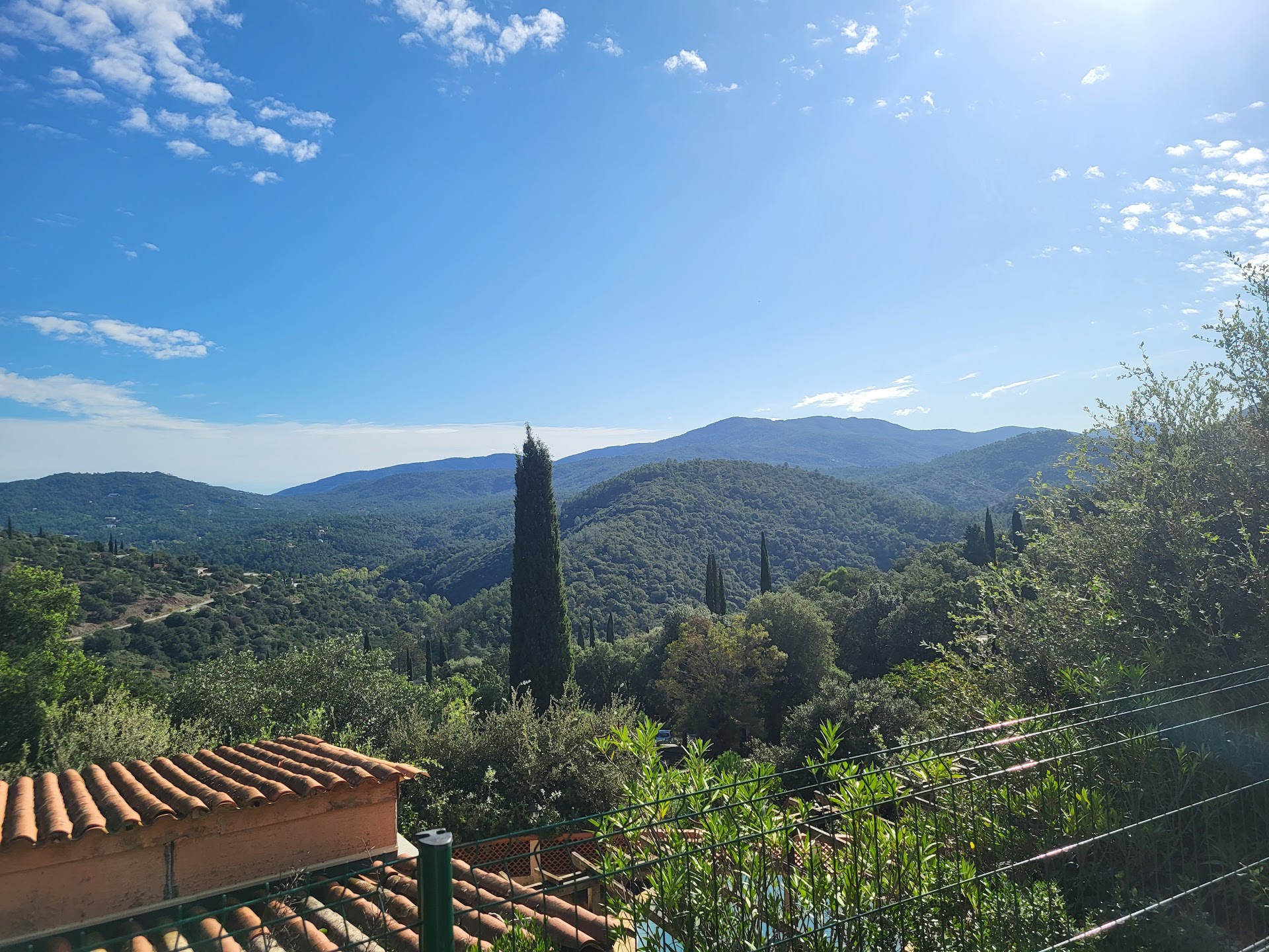 Photo La Pinède des Mimosas