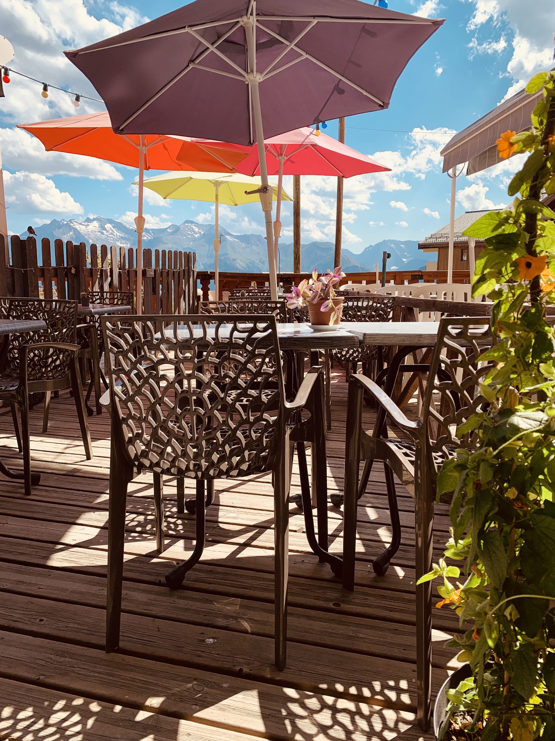 Photo Au bistrot, chez les filles