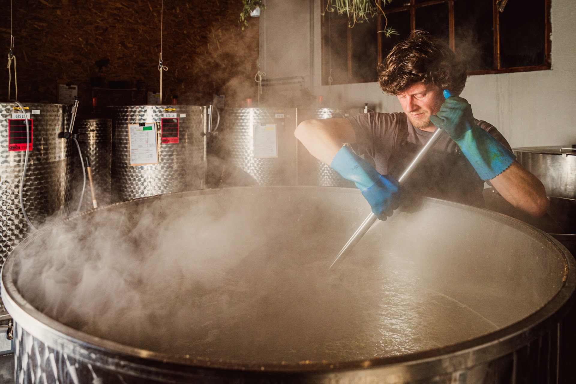 Photo Brasserie de l'Antidote