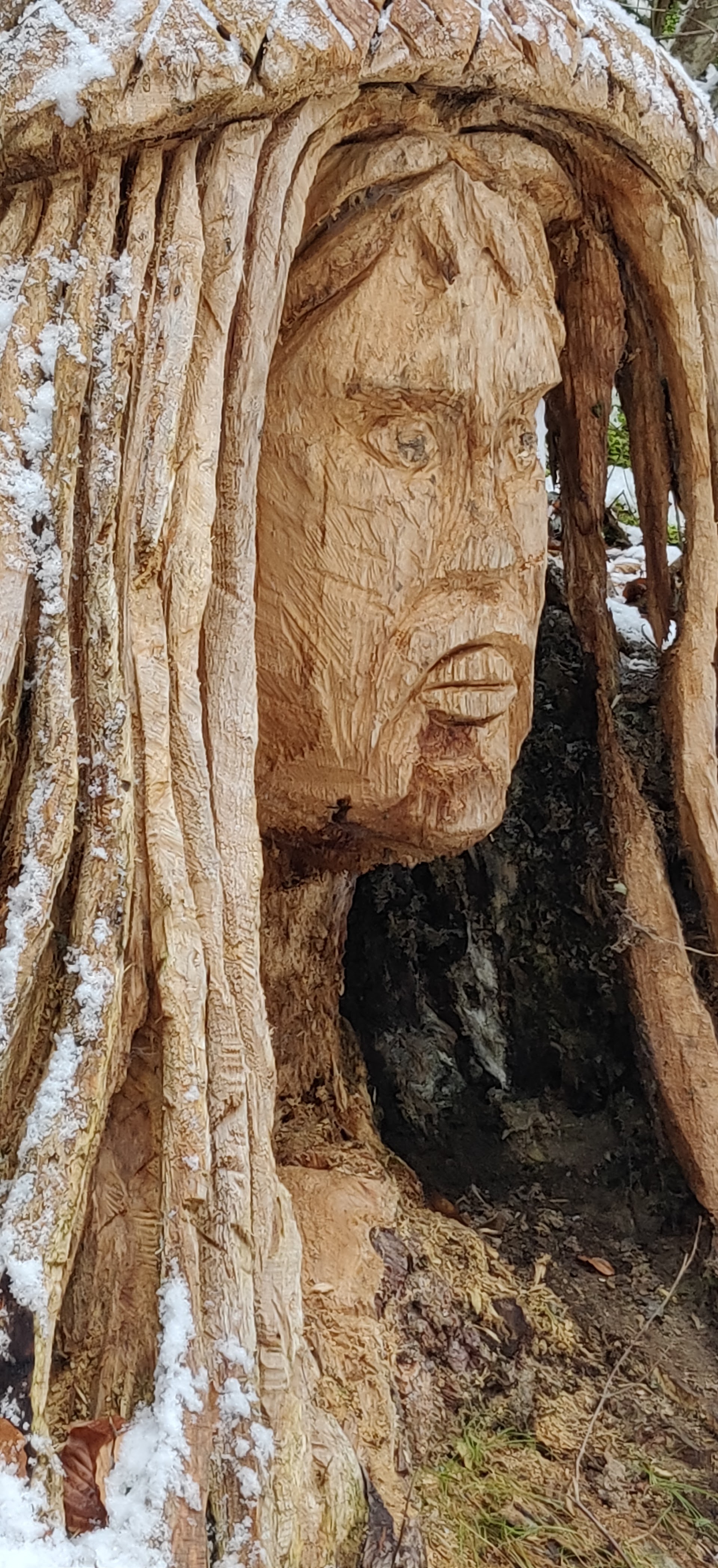 Photo Les Mousses du Dahu