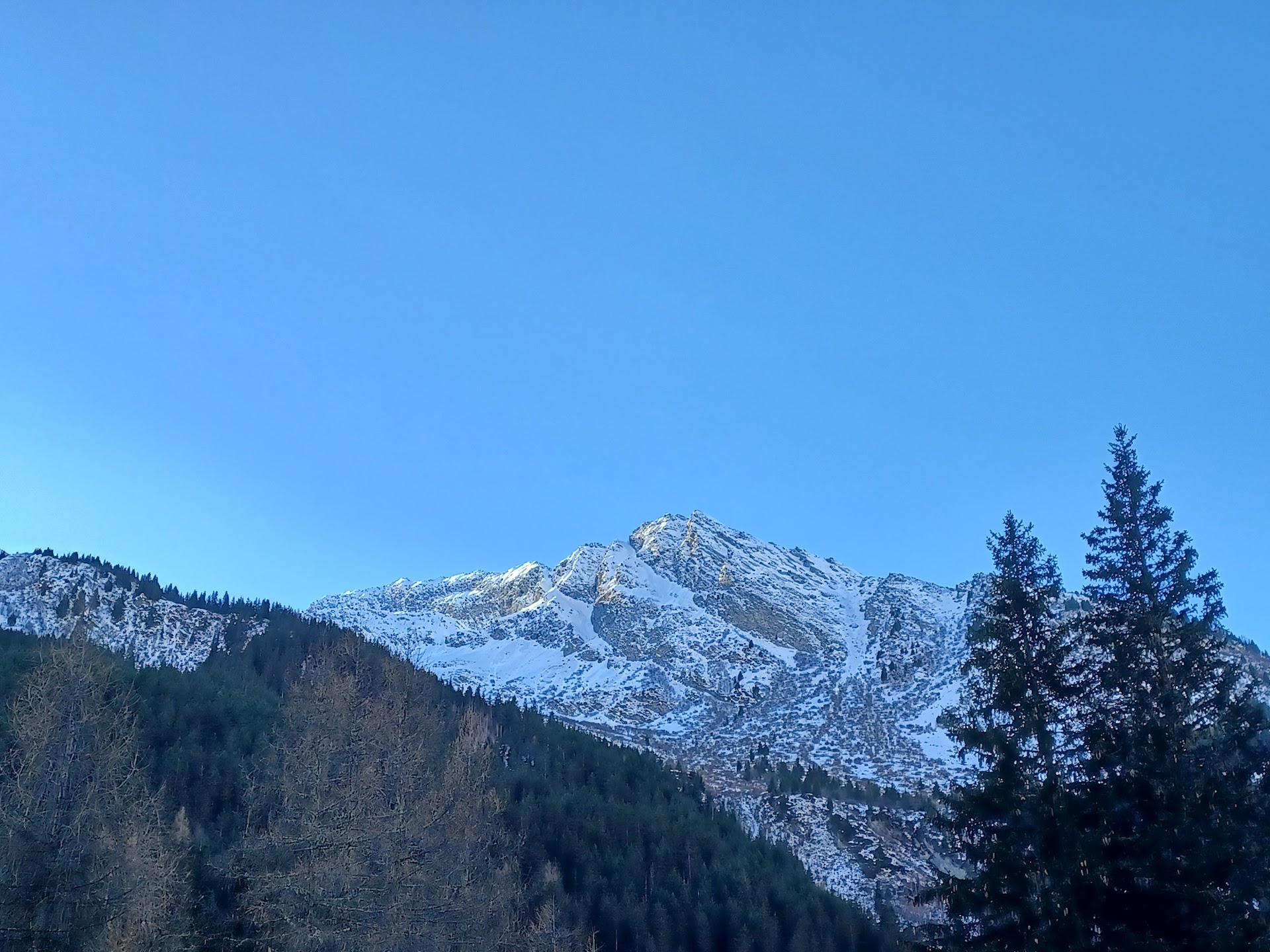 Photo Restaurant le Canada nouveau gérant nouvelle carte